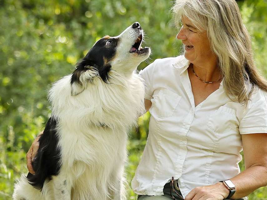 Ansicht 1 von Tierarztpraxis Dr. Viola Hebeler Fachtierärztin für Pferde / Sportmedizin Hund