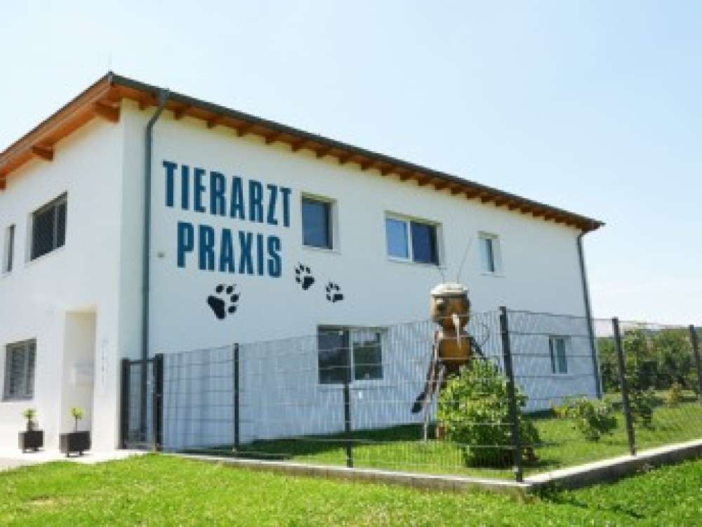 View 1 of Tierarzt Praxis Diplom Tierärztin CCRP Jutta Schlapschy