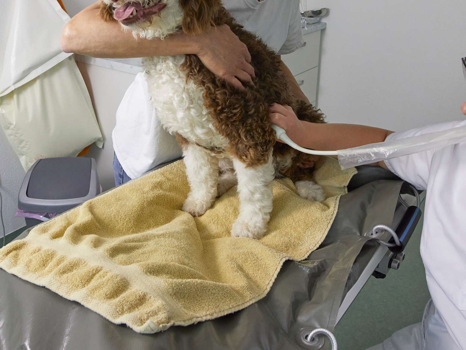Ansicht 2 von Tierarzt Dr. Gerhard Heim