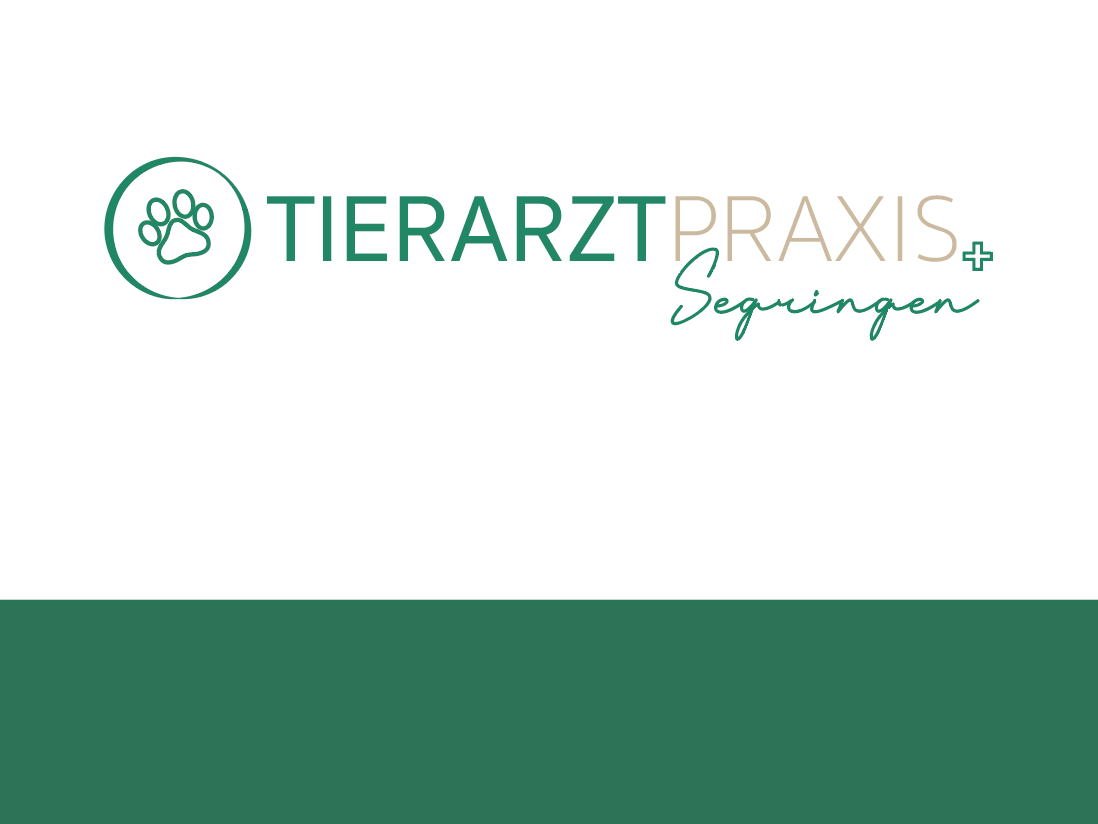 Ansicht 3 von Tierarztpraxis Segringen