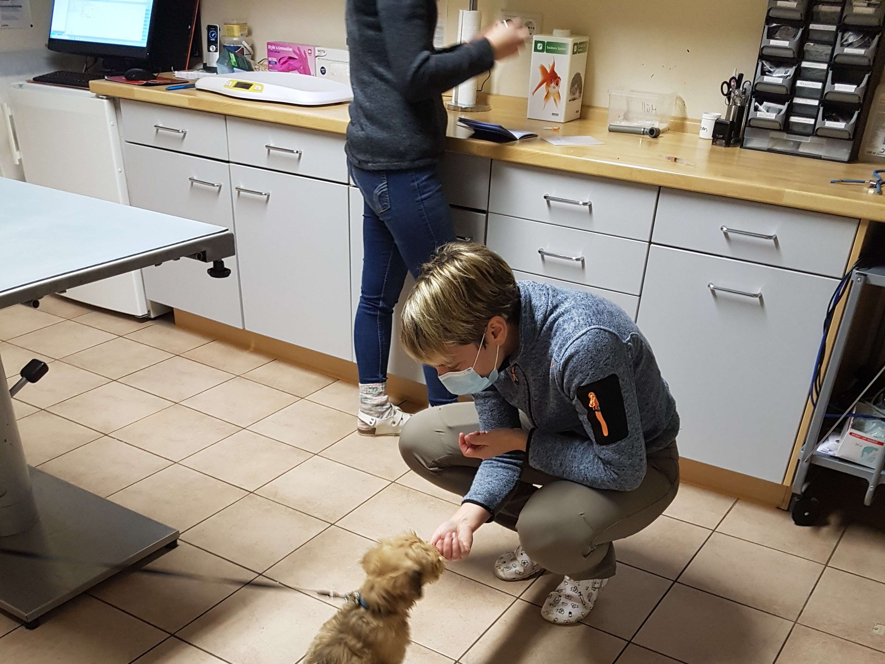 Ansicht 1 von Dr.med.vet. Ina Spreckels Tierärztin