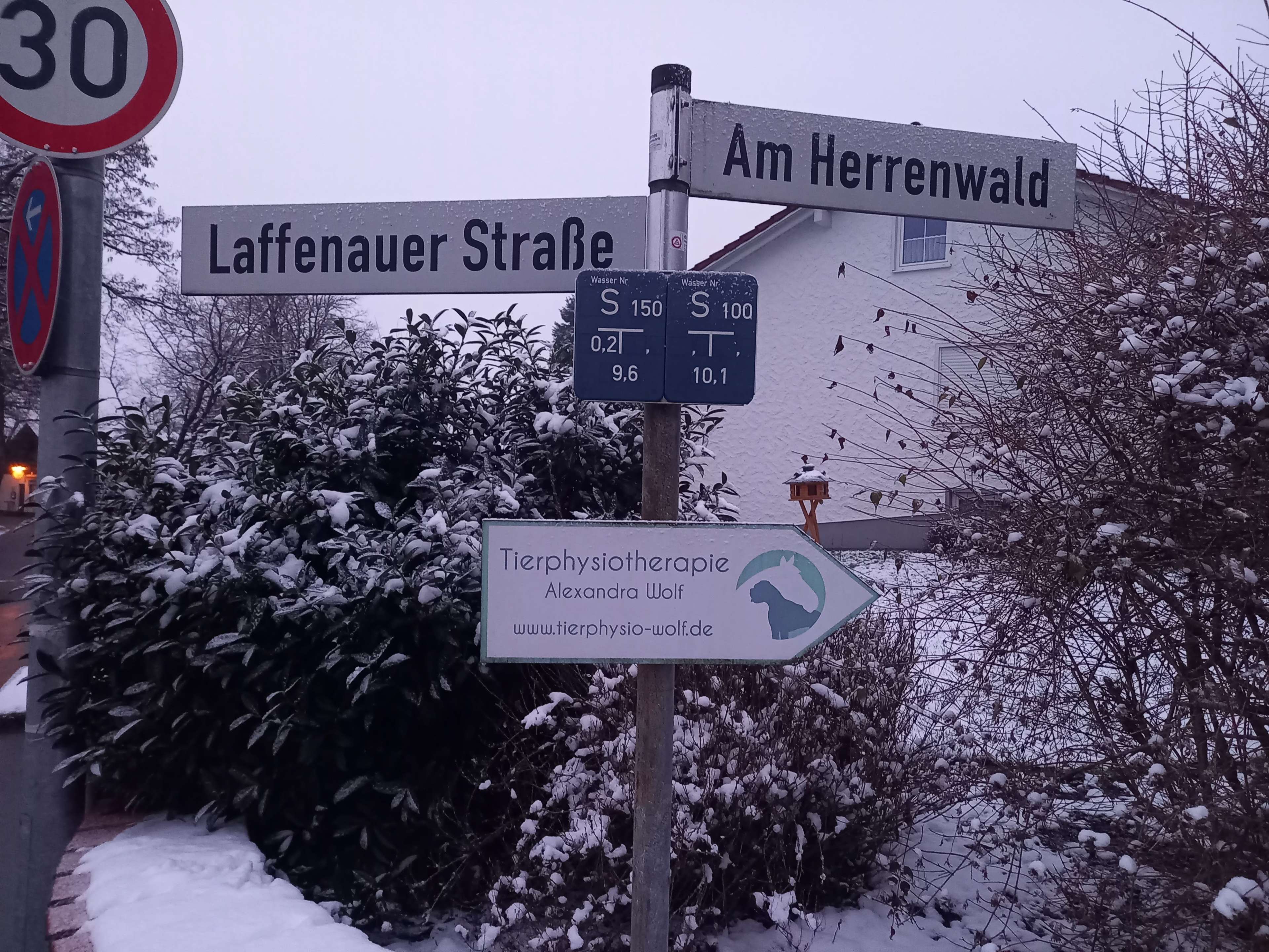 Ansicht 1 von Tierphysiotherapie Alexandra Wolf