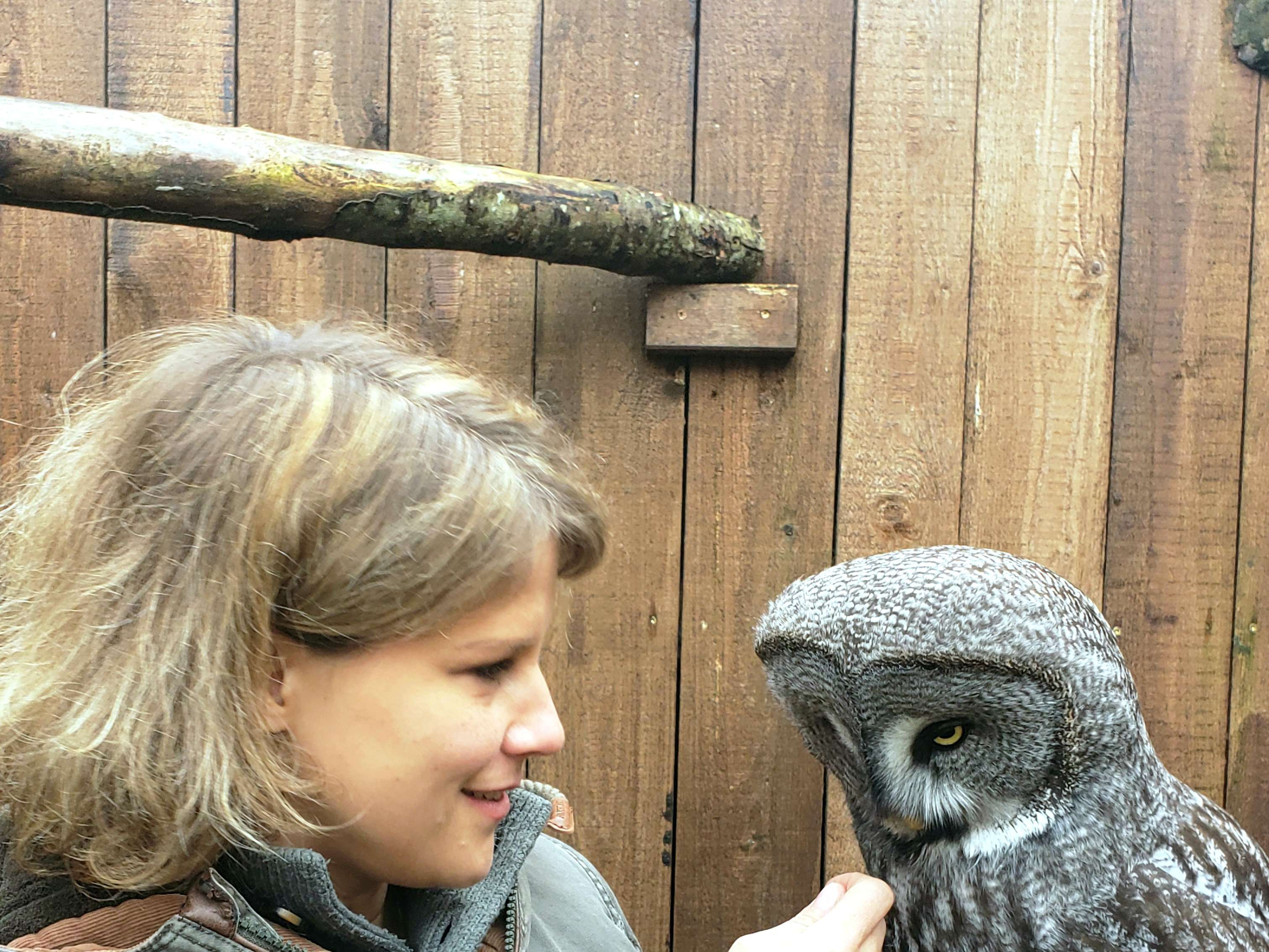 Ansicht 1 von Vogelperspektive - Münchner Vogel- und Exotenpraxis Elsa Lößner