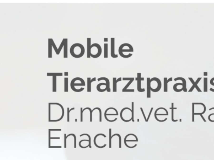 Ansicht 1 von Mobile Tierarztpraxis für Pferde und Kleintiere Regenstauf