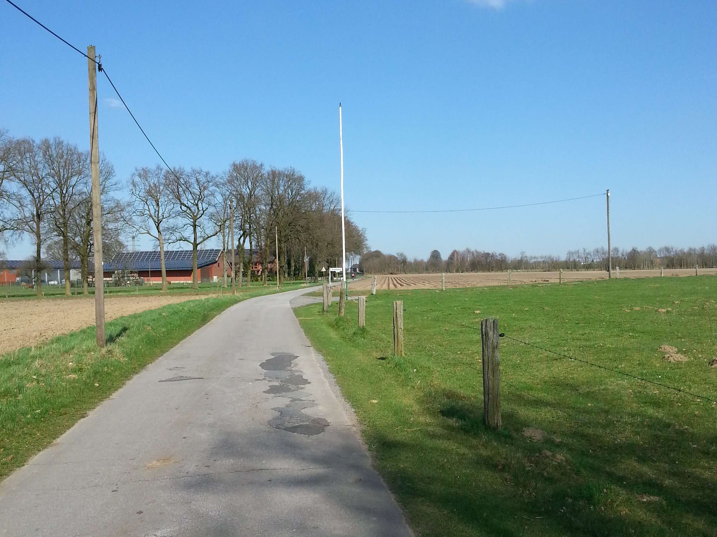 Ansicht 1 von Tepferd