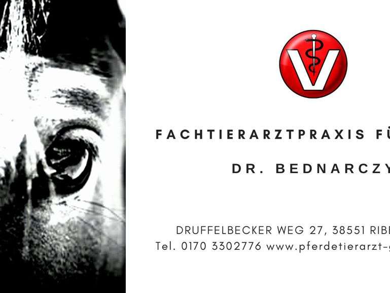 View 1 of Fachtierarztpraxis für Pferde Dr. Bednarczyk