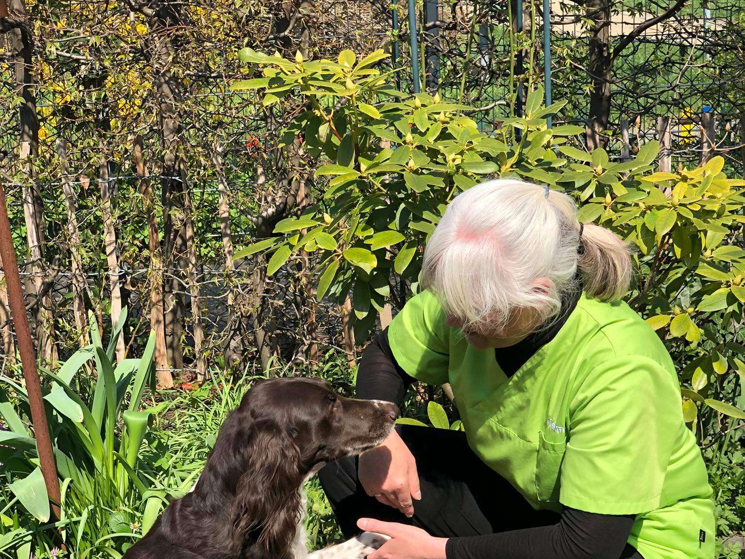 Ansicht 3 von felmo Mobiler Tierarzt Nürnberg