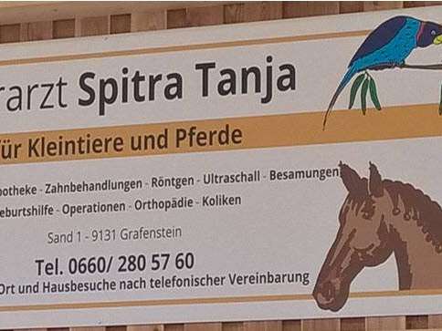 Ansicht 2 von Mag.med.vet. Tanja Spitra