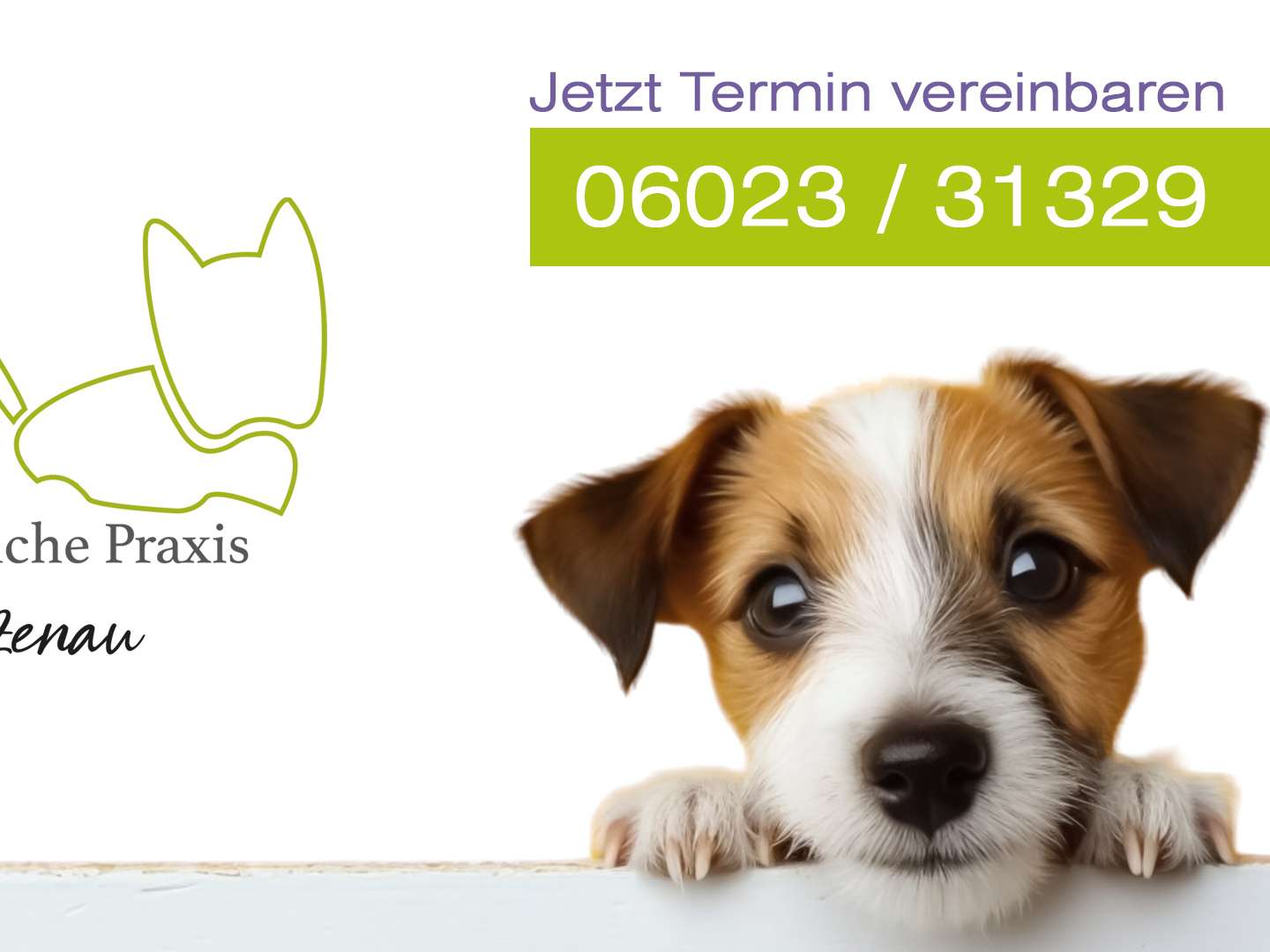 Ansicht 1 von Tierärztliche Praxis Alzenau