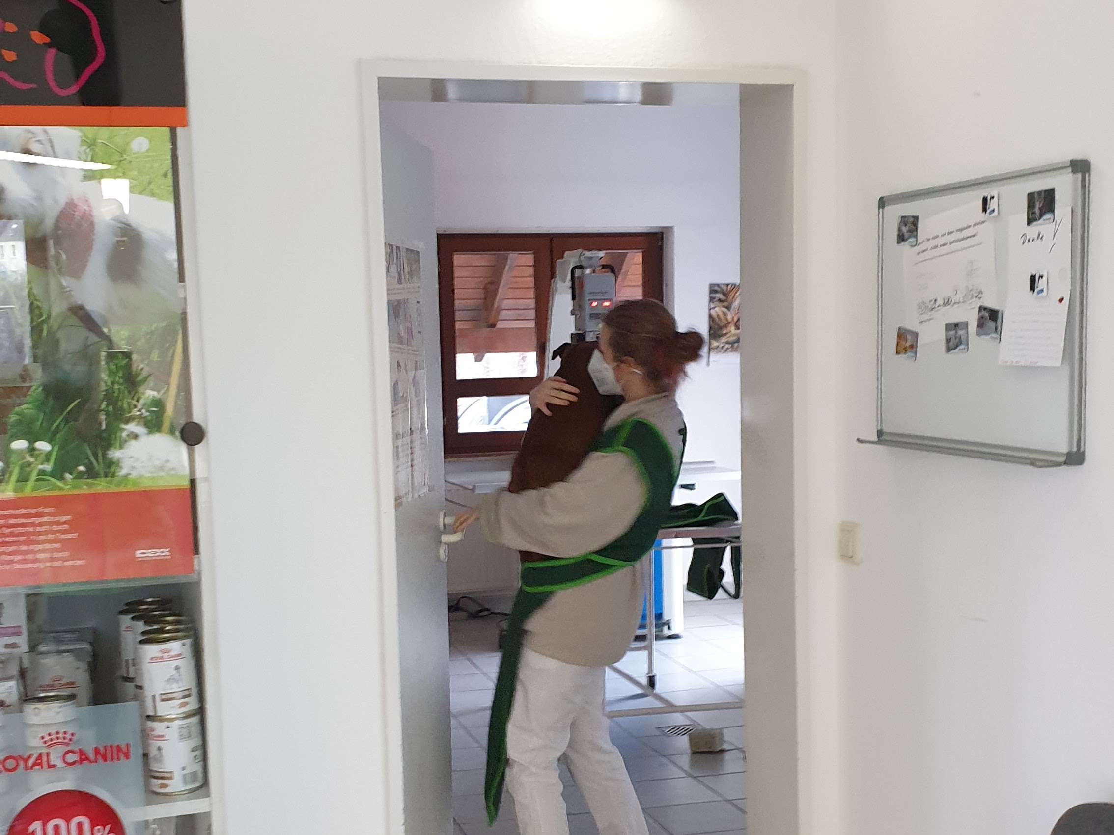 Ansicht 3 von Tierarztpraxis Dr. Andreas Arndt | Fachtierarzt für Klein und Heimtiere