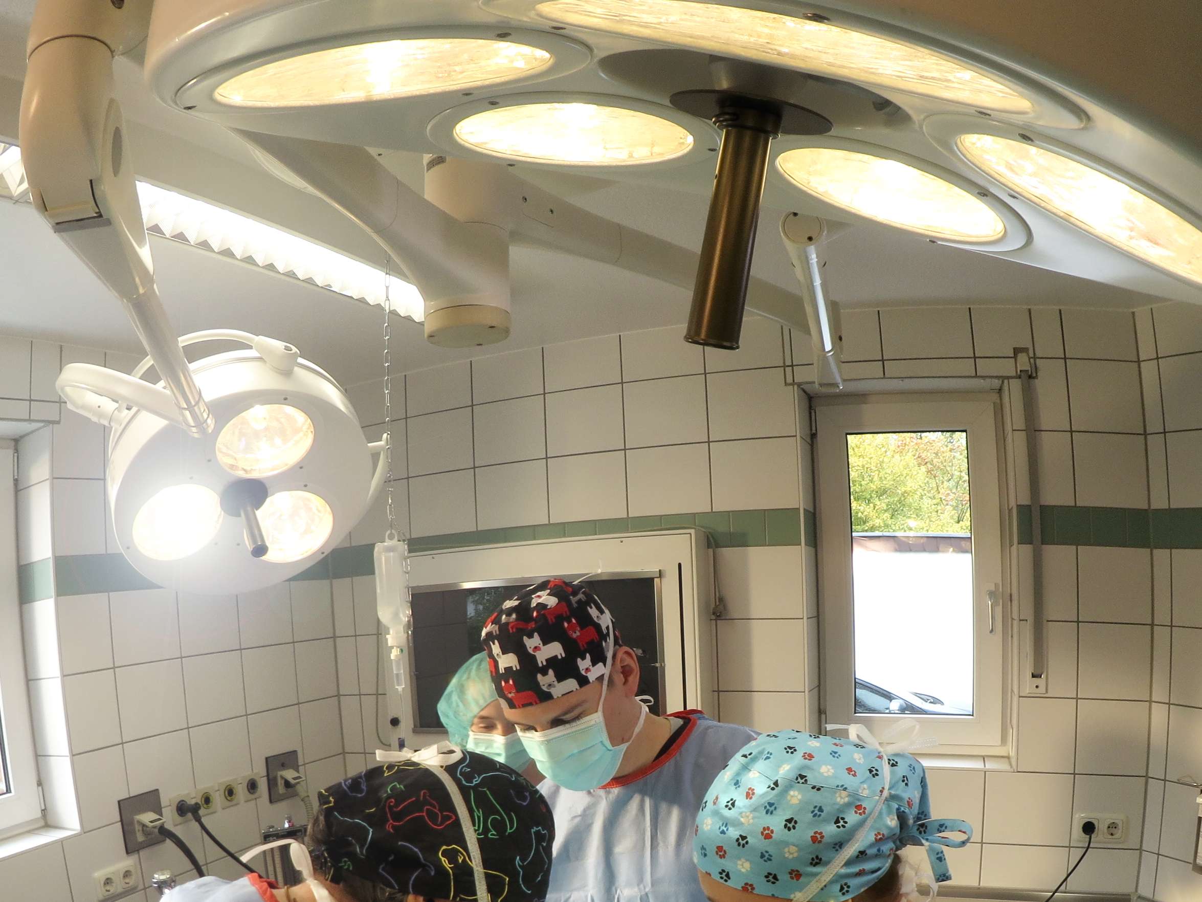 Ansicht 2 von Tierarzt Wilmering Neuss, Kleintierpraxis Weberstraße