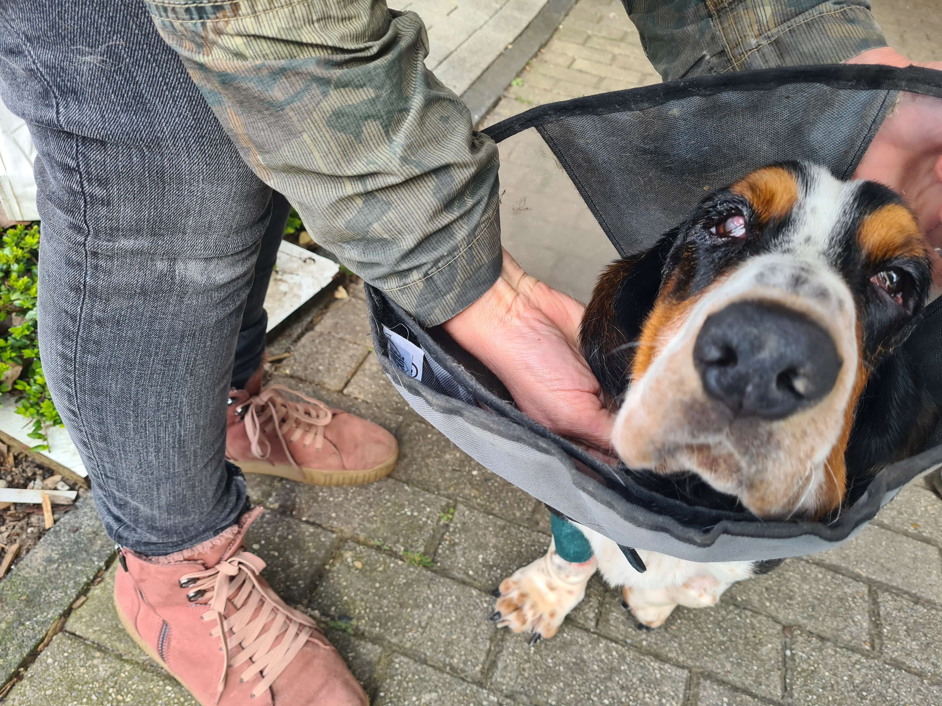 Ansicht 3 von Tierklinik am Kaiserberg