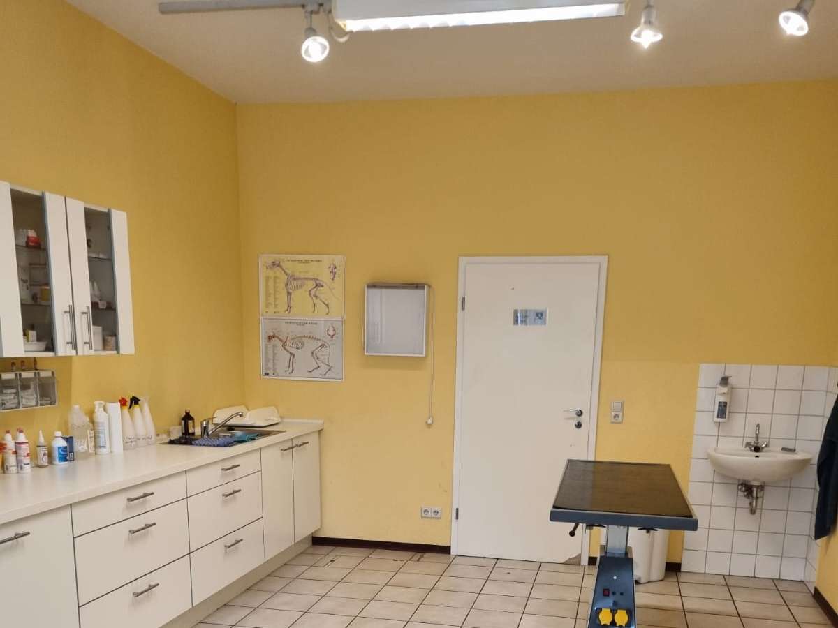 Ansicht 1 von Kleintierpraxis Skoeries GmbH