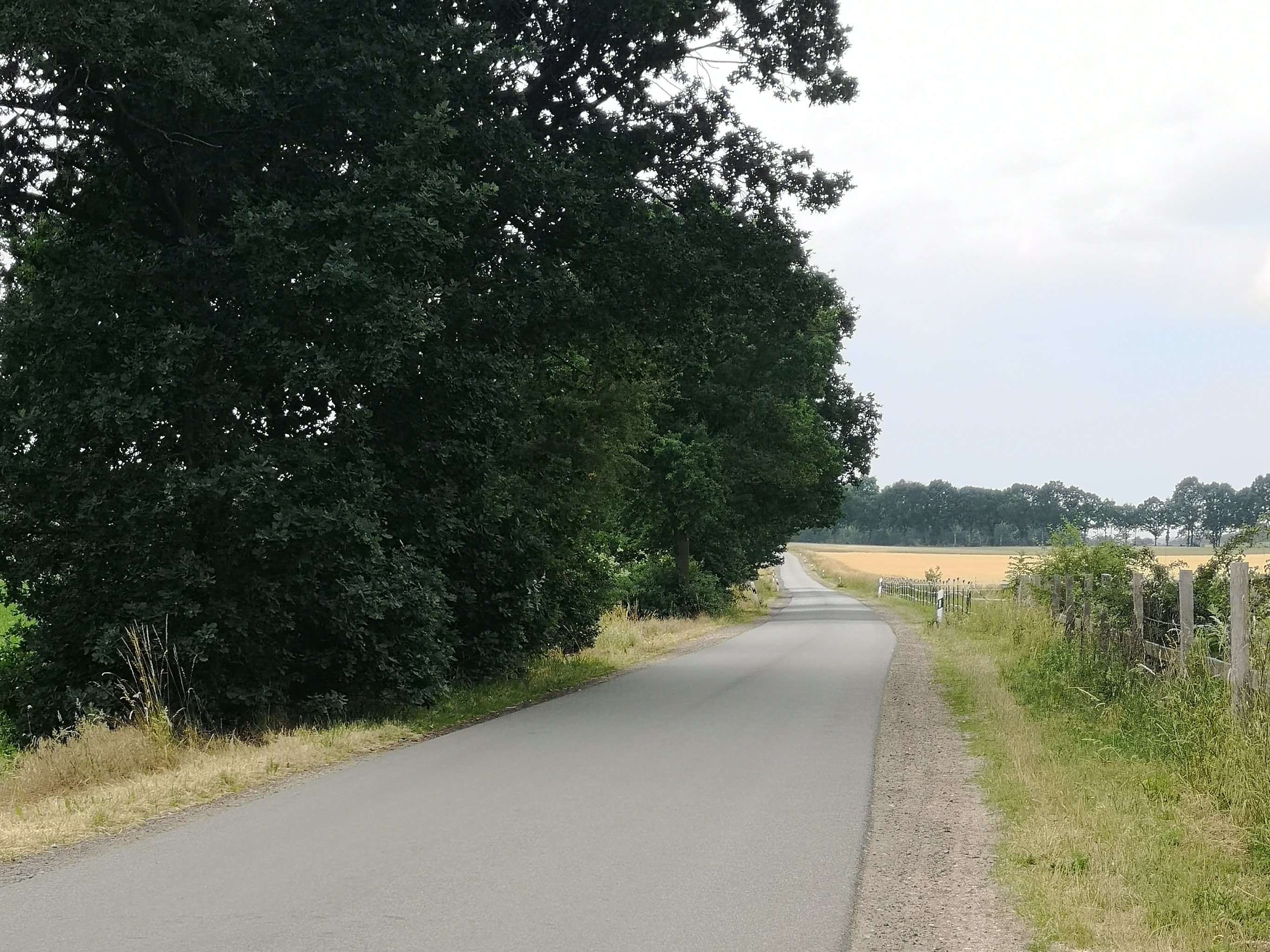 Ansicht 3 von Dr. Arndt Fischer Tierarzt