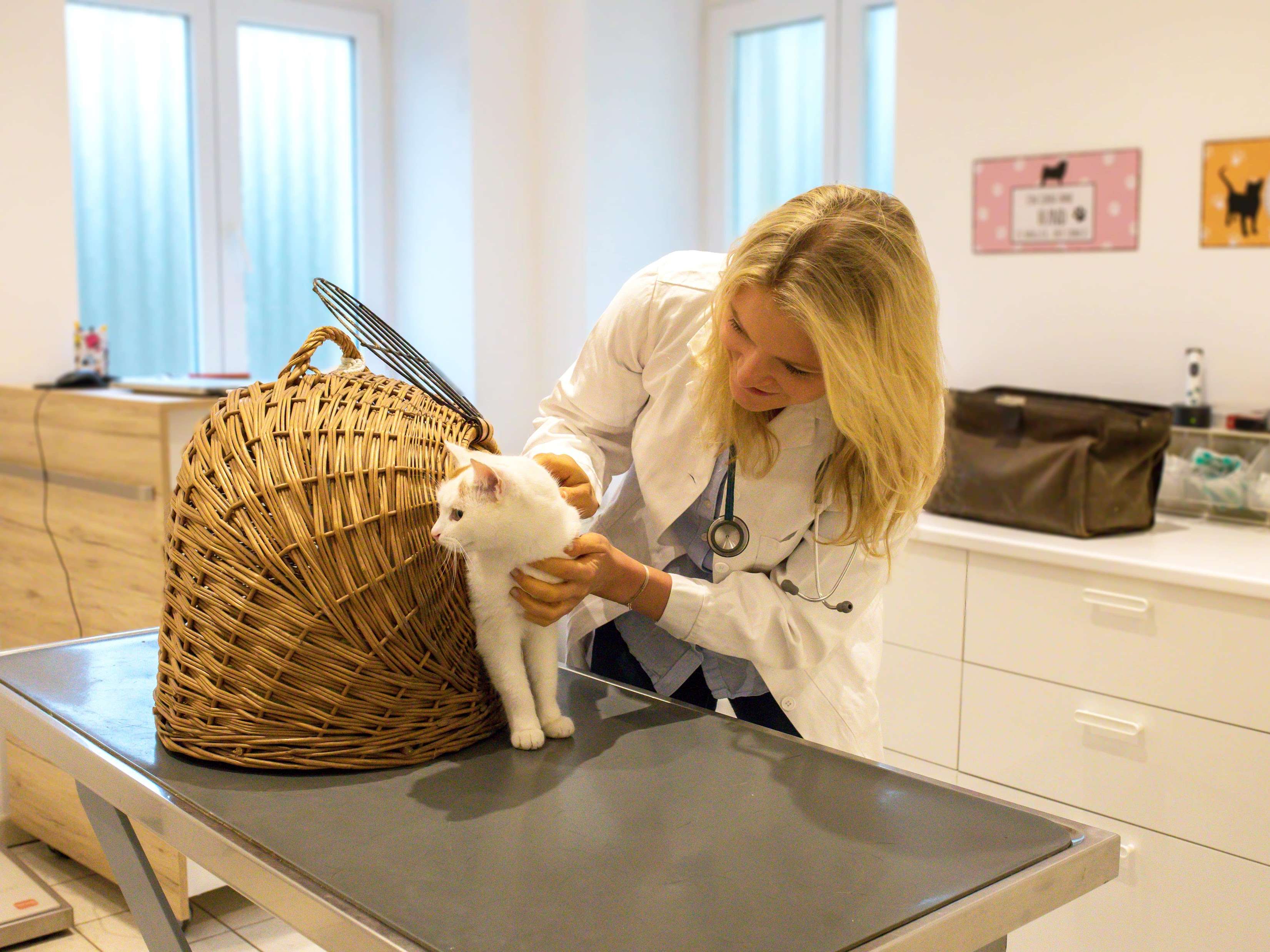 Ansicht 1 von Tierordination Froschberg - Dr. Ulla & Mag. med. vet. Lucy Roberts