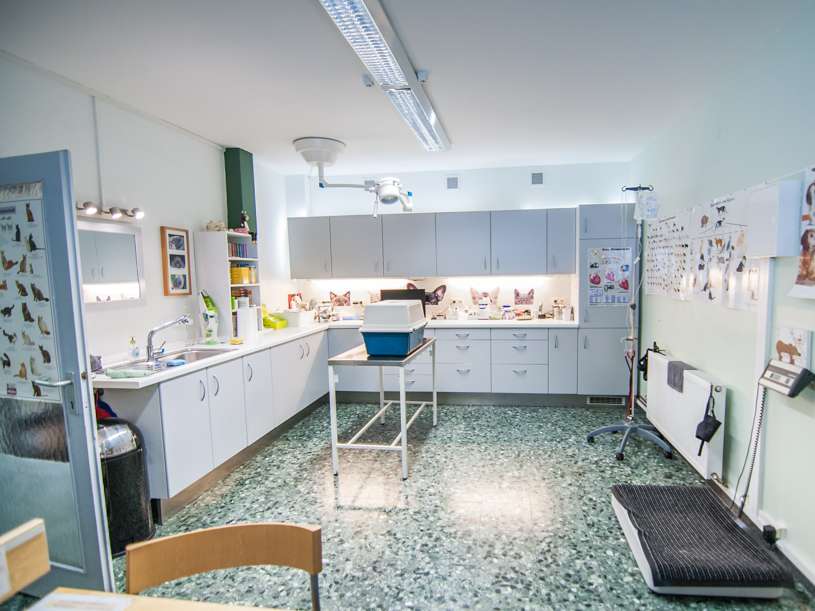 Ansicht 3 von Kleintierpraxis Hinterbrühl