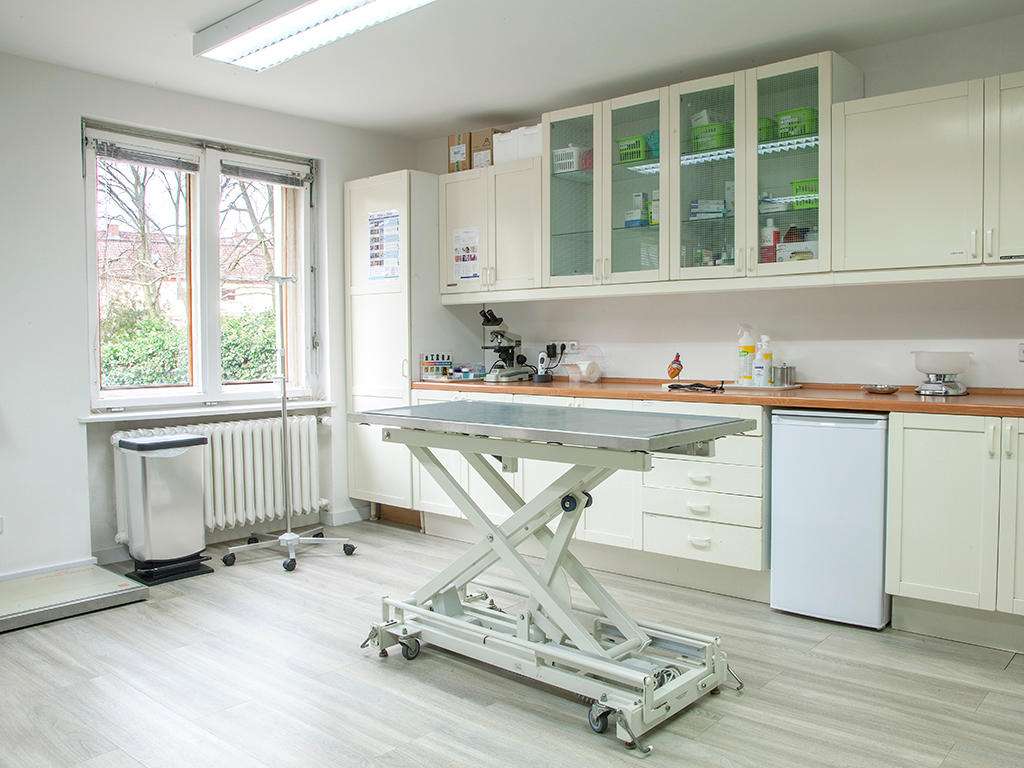 View 2 of Flidais Vet - Kleintierpraxis Neukölln