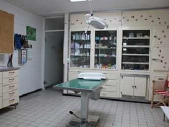 Ansicht 2 von Kleintierpraxis Haberkern - Fachtierärzte im Raum Heilbronn und Neckarsulm
