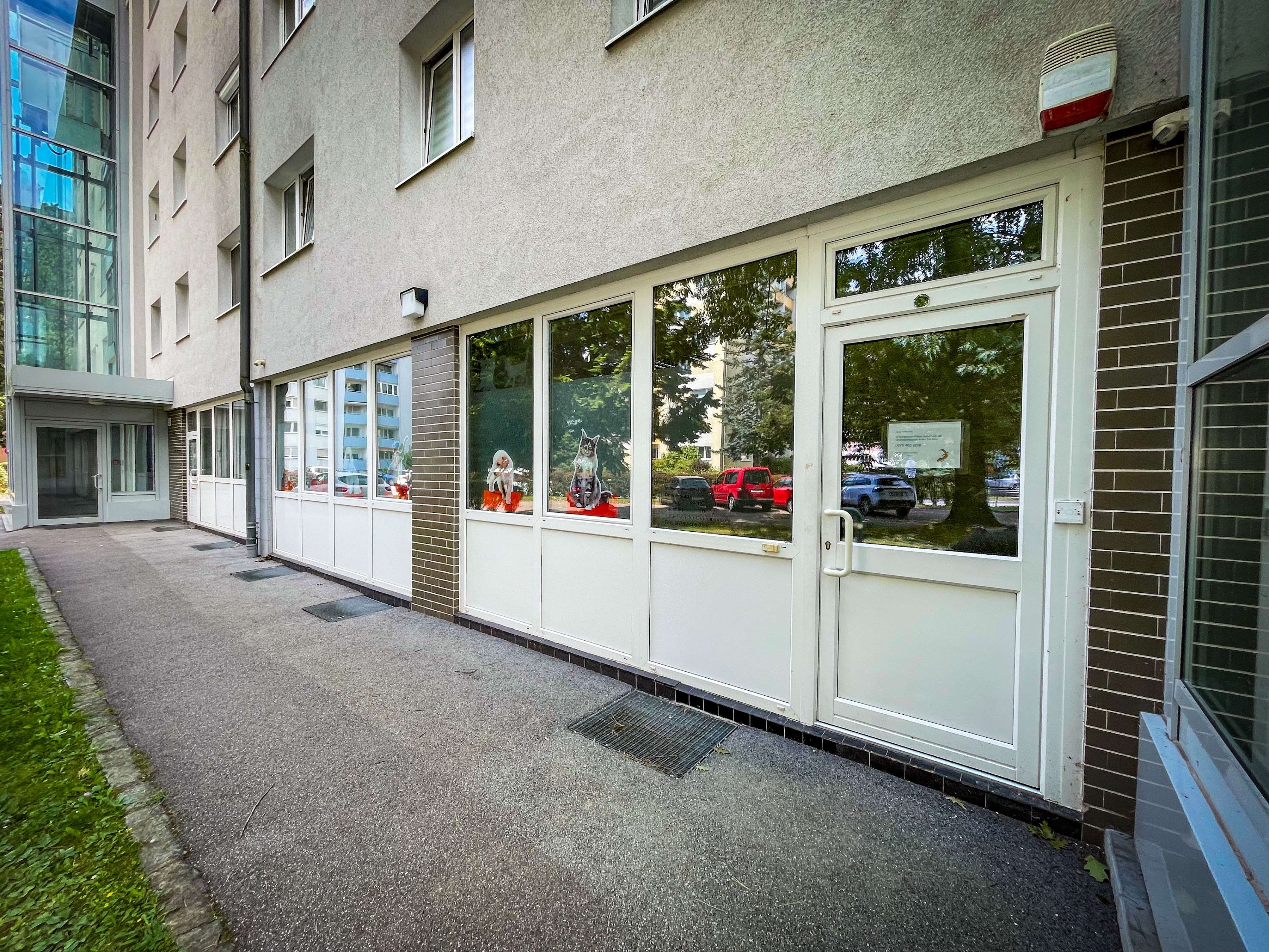 Ansicht 2 von Dr. med. vet. Astrid Mayr