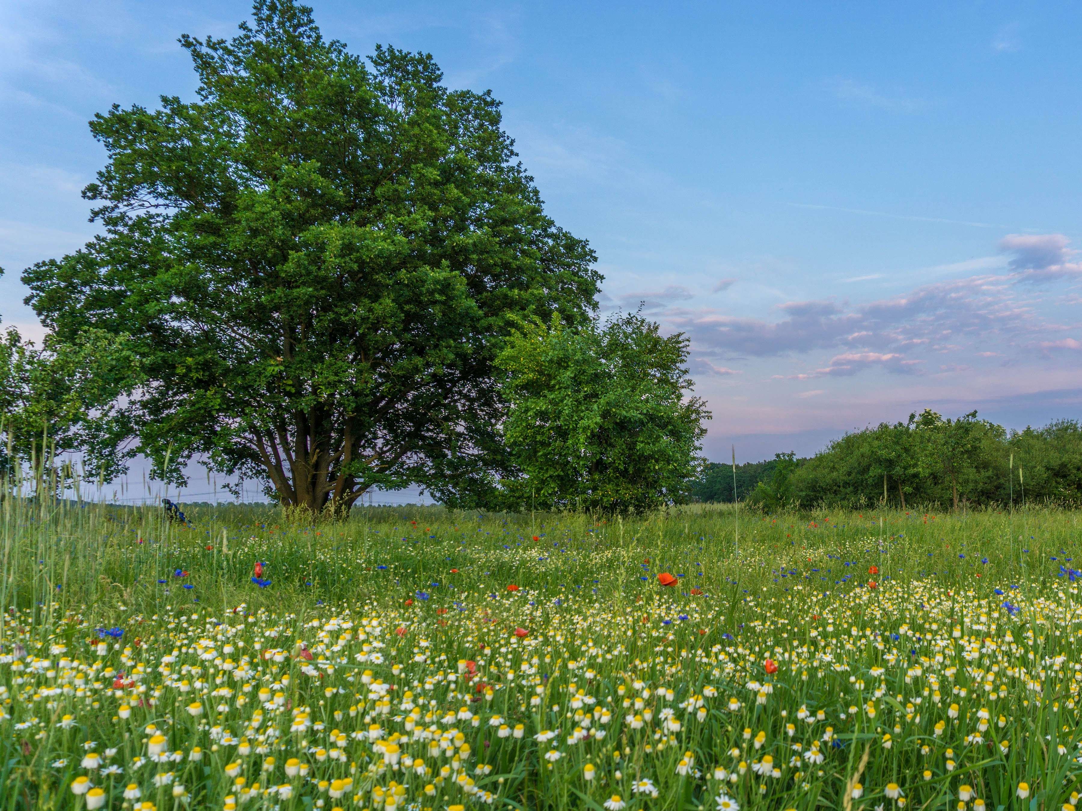 Ansicht 1 von Tierarztpraxis Am Mellensee
