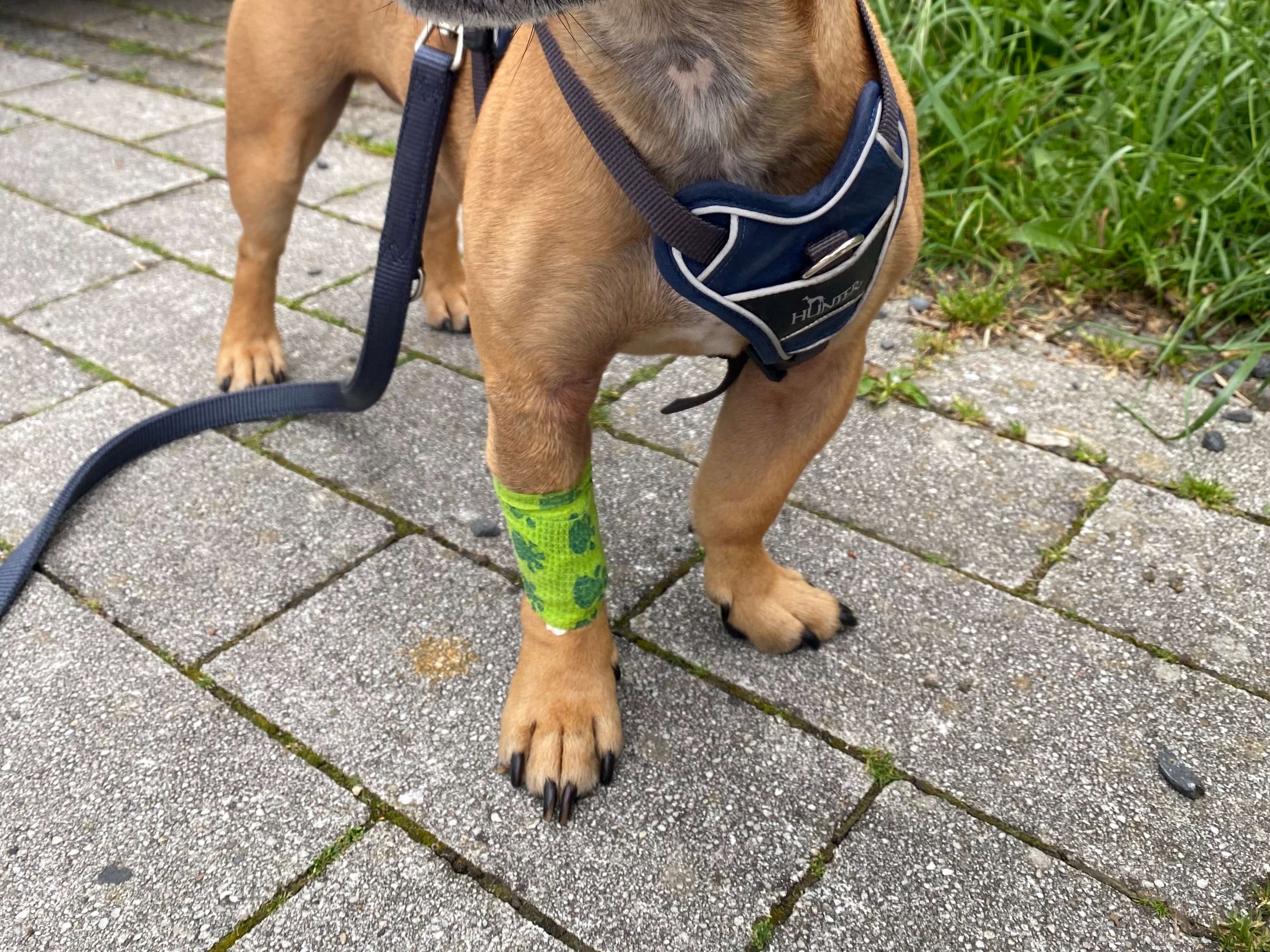 Ansicht 2 von Dr.med.vet. Klaus Eckert Tierarzt