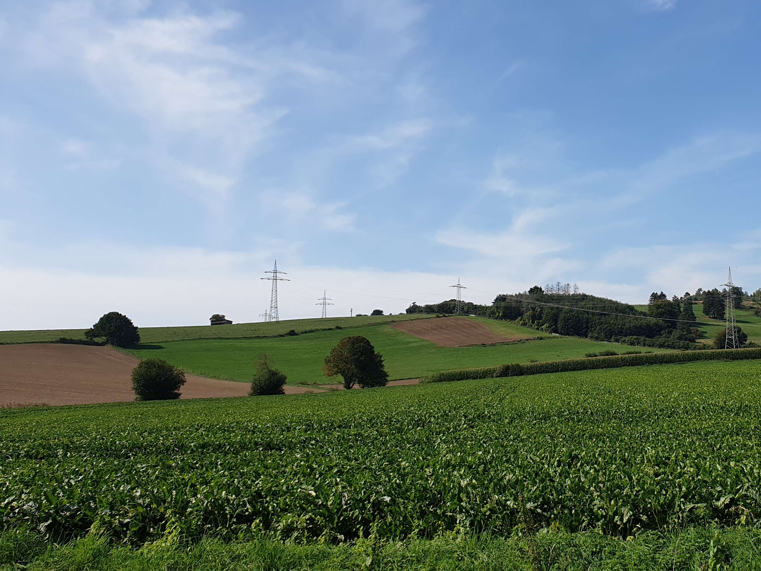 Ansicht 1 von Jens Mühlberg