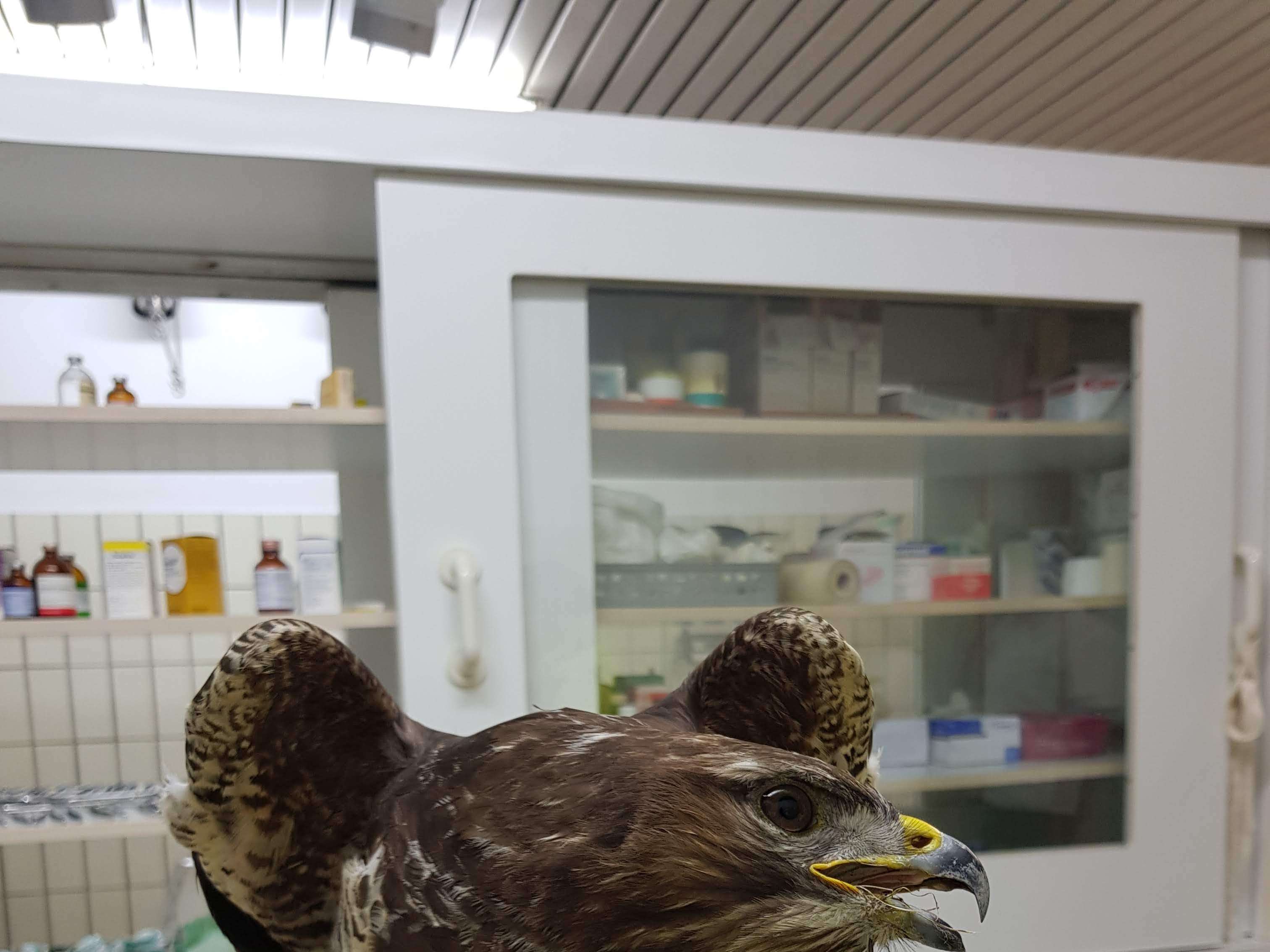 Ansicht 1 von Diethelm Graf von Plettenberg Kleintierklinik