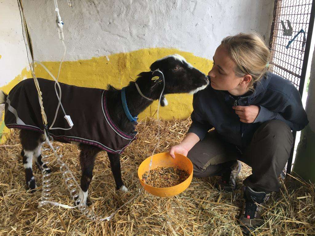 Ansicht 2 von Tierarztpraxis Jana Queiser