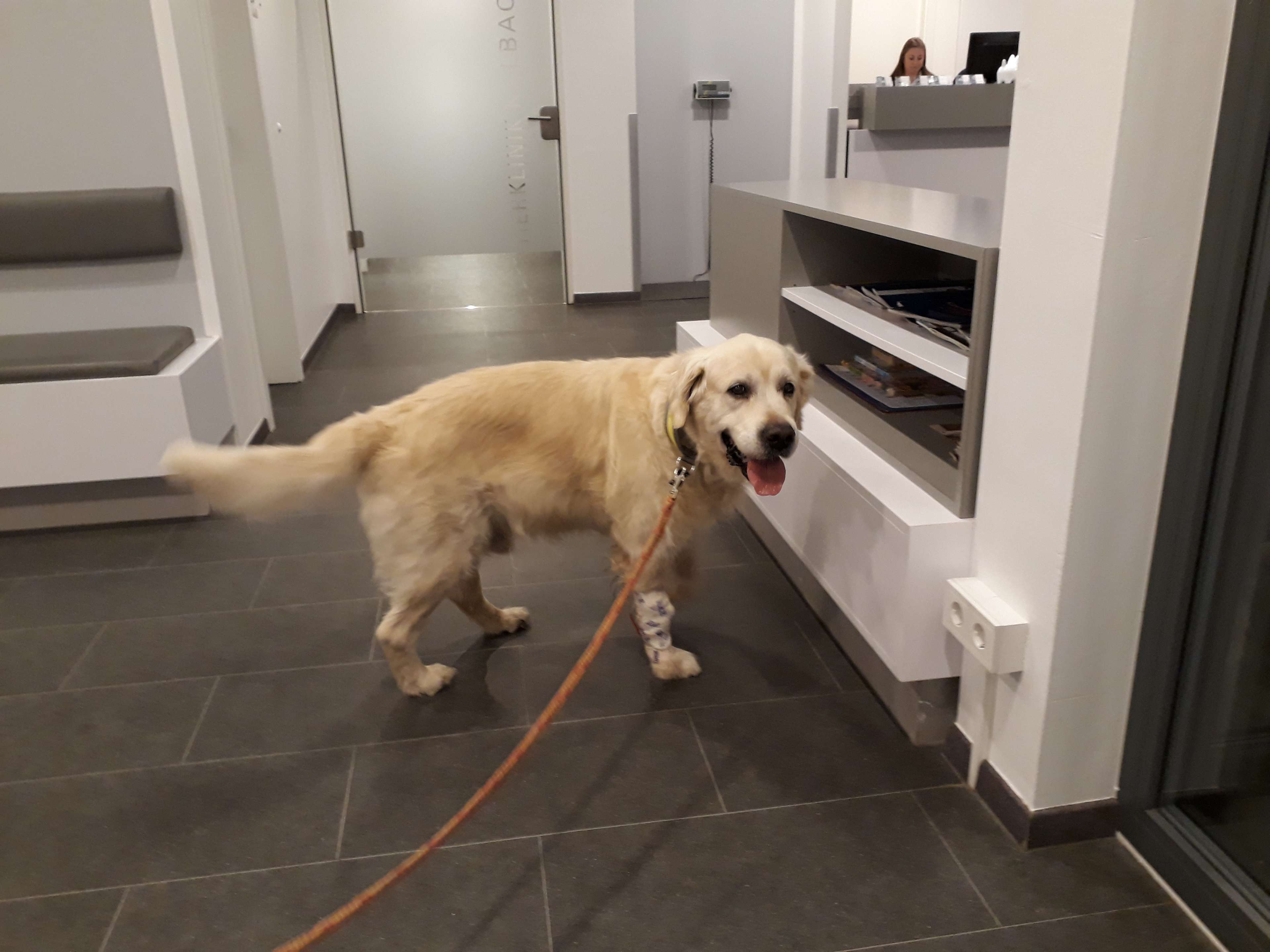 Ansicht 3 von Tierklinik Kalbach - Fachklinik für Kleintiere Frankfurt