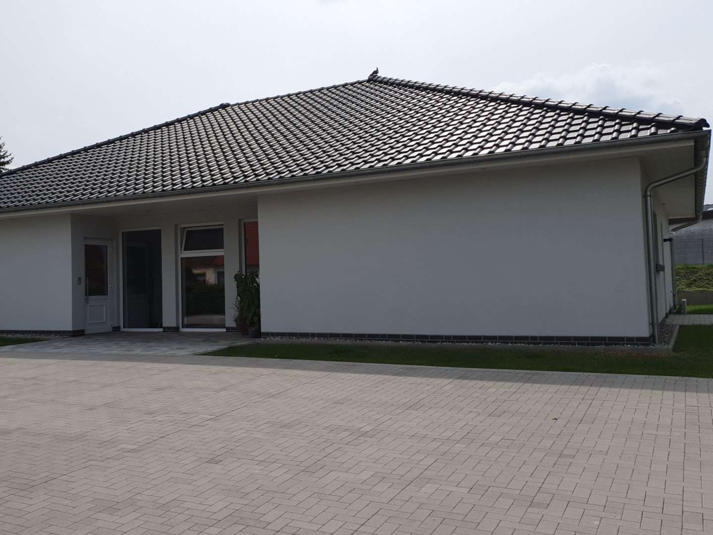 Ansicht 1 von Tierärztliche Gemeinschaftspraxis DVM A. Wortha, TA M. Schischke