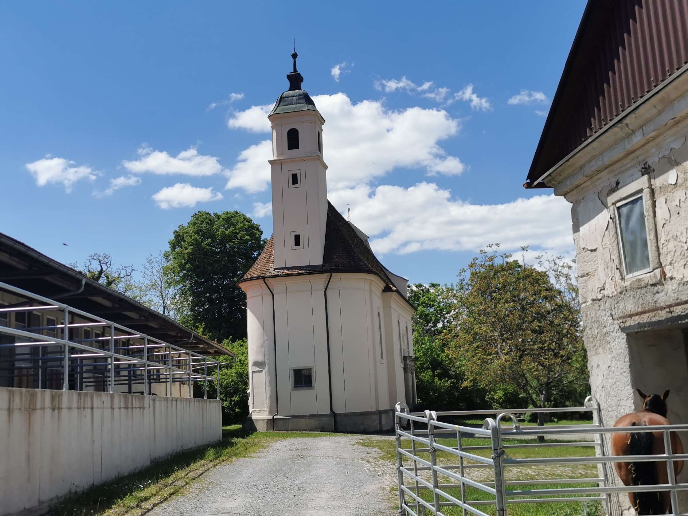 View 3 of Pferde- und Kleintierpraxis Domäne Ammerhof