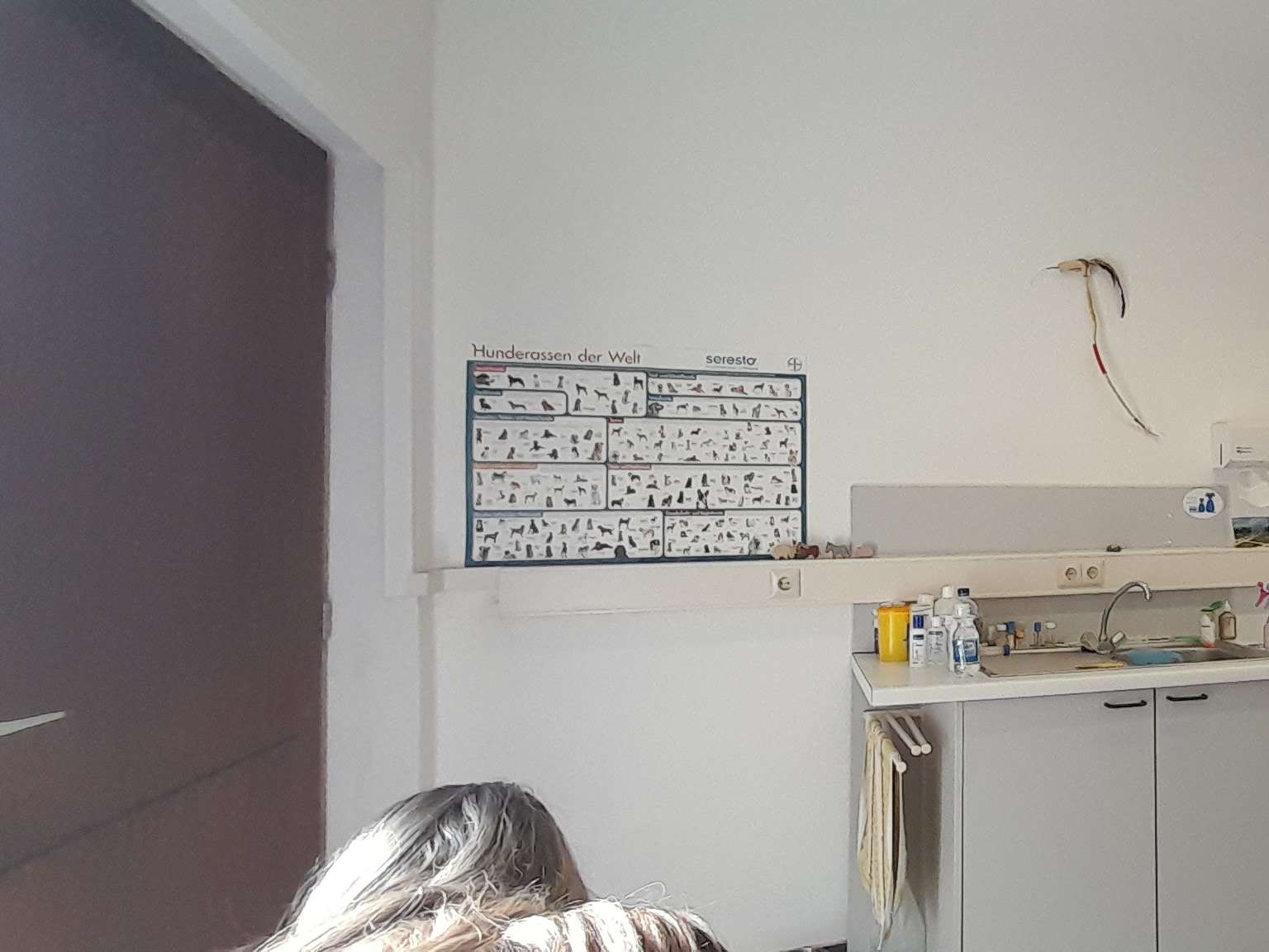 Ansicht 1 von Dr.med.vet. Osvair Escorsin Tierarzt