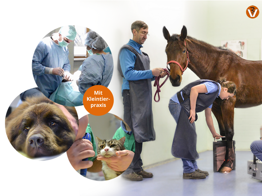 View 1 of Tierärztliche Klinik f. Pferde - Dr. Knut Anders - Notfallbereitschaft f. Pferde