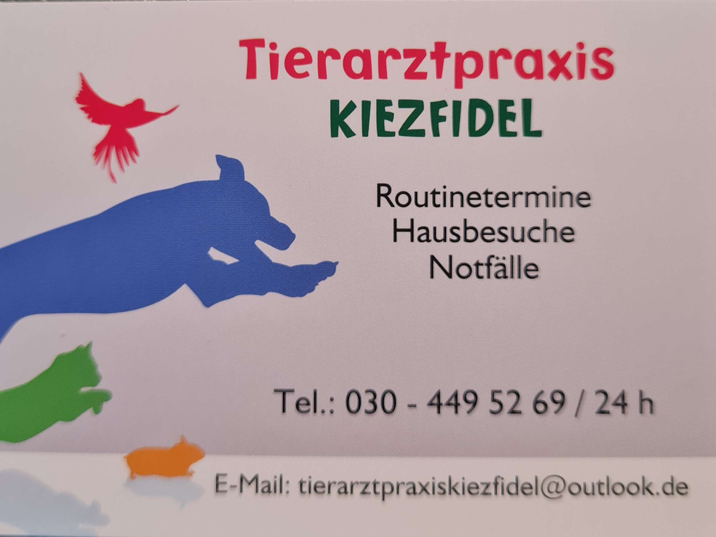 Ansicht 4 von Tierarzt Kiezfidel, Tierärztin