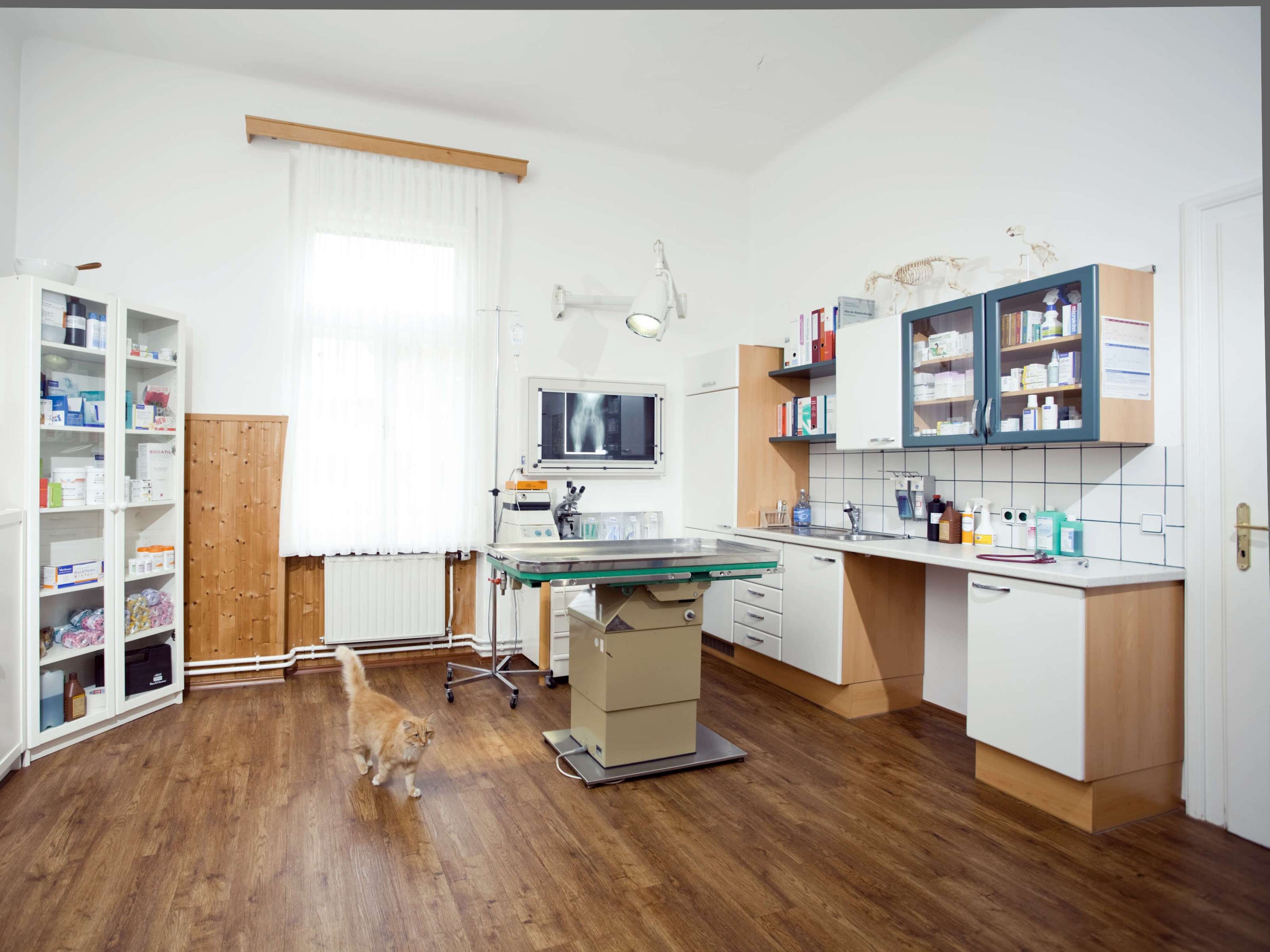 View 1 of Dr. Gernot Gaggl