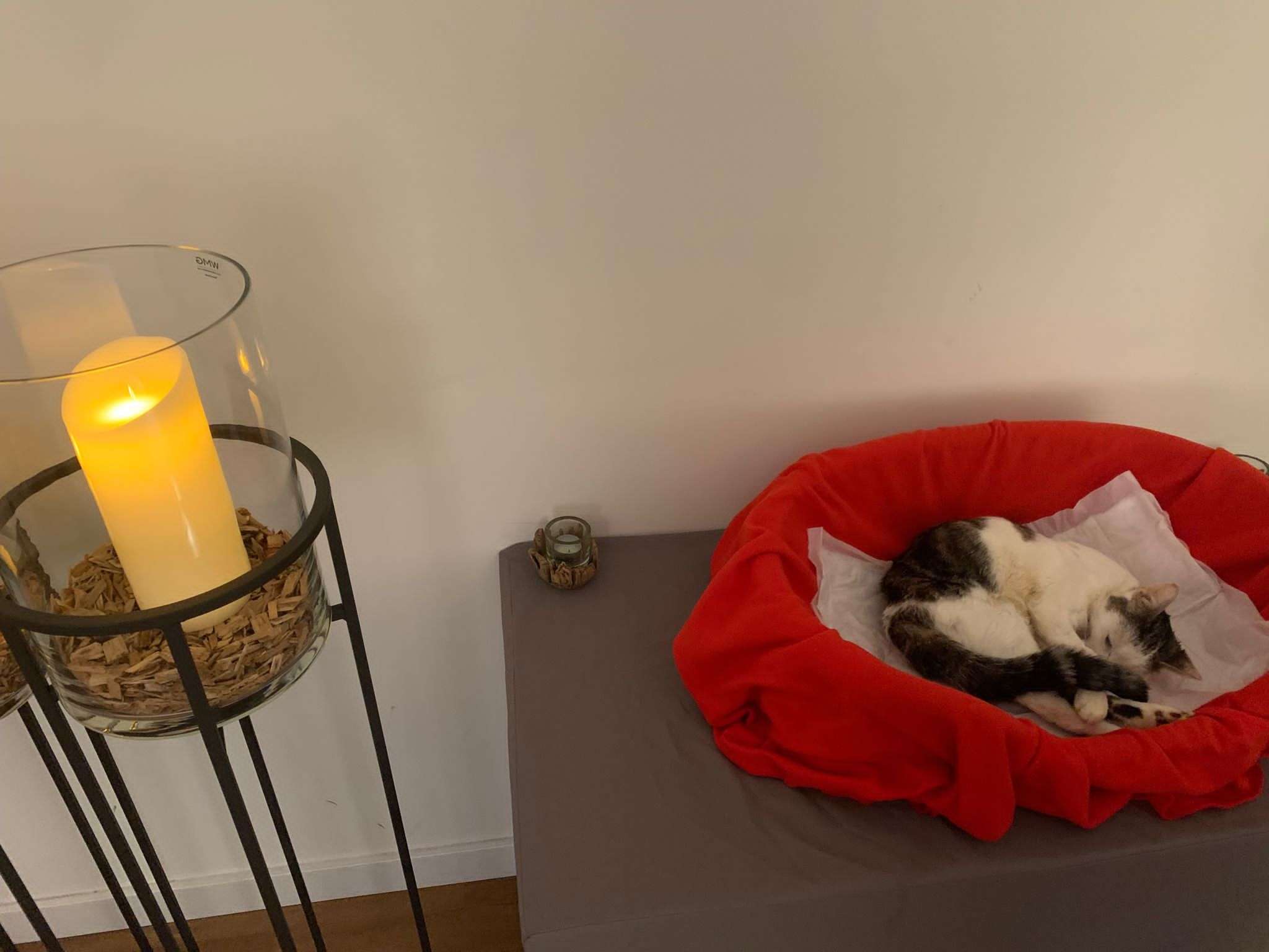 Ansicht 3 von Tierarztpraxis Brunautal
