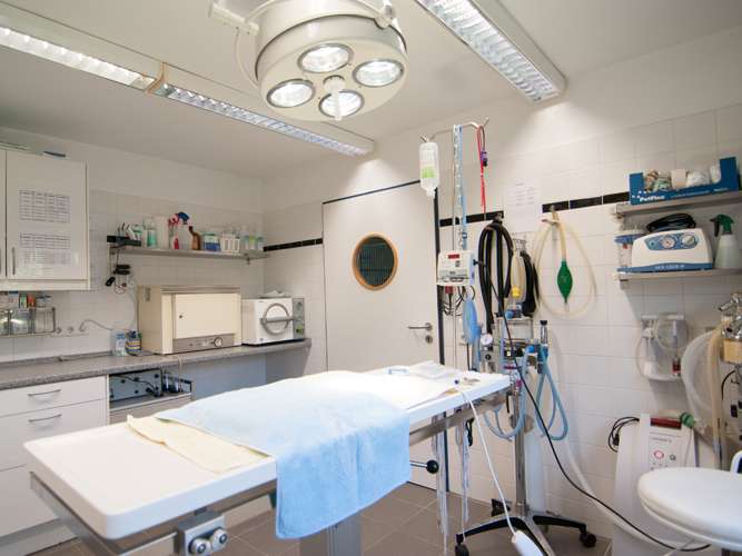 Ansicht 3 von Tierarzt Wilmering Neuss, Kleintierpraxis Kaarster Straße