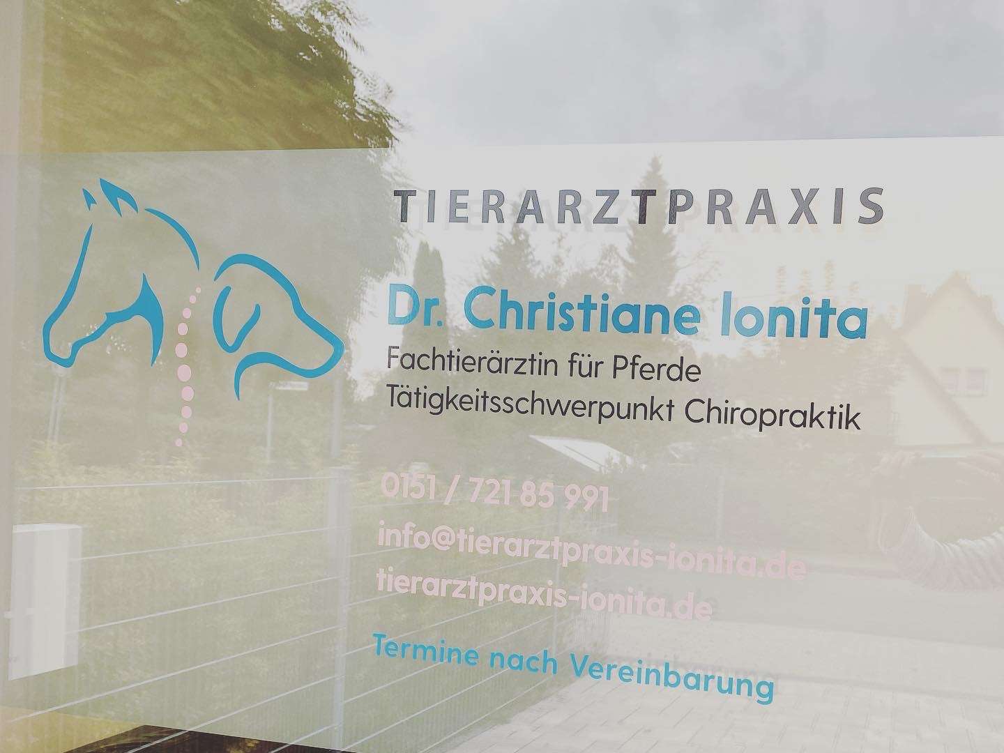 Ansicht 2 von Dr. Christiane Ionita - Fachtierärztin für Pferde
