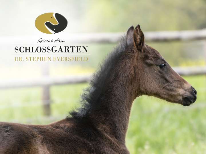 Ansicht 1 von Gestüt Am Schlossgarten