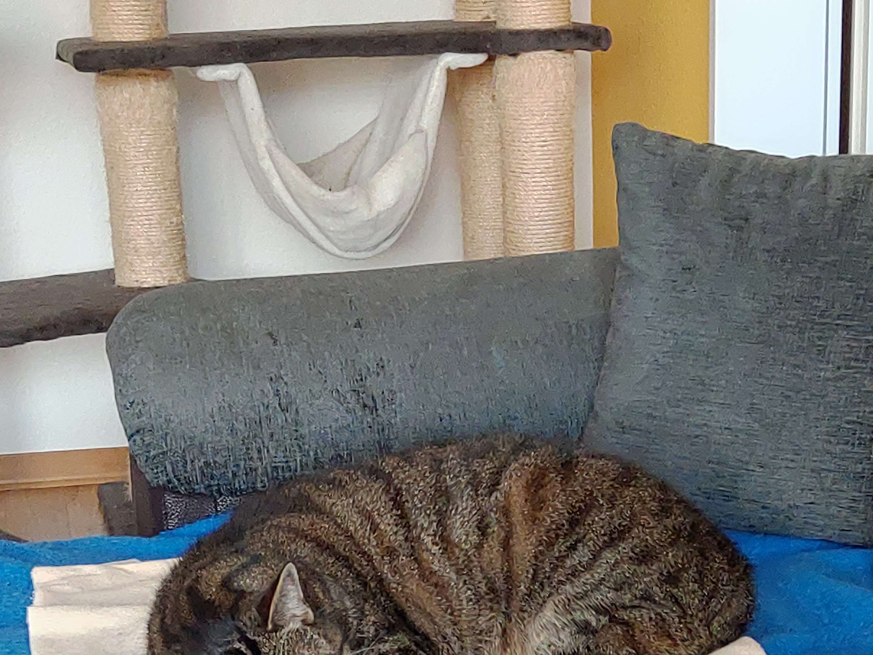 Ansicht 1 von Uta Schmitt Tierärztin