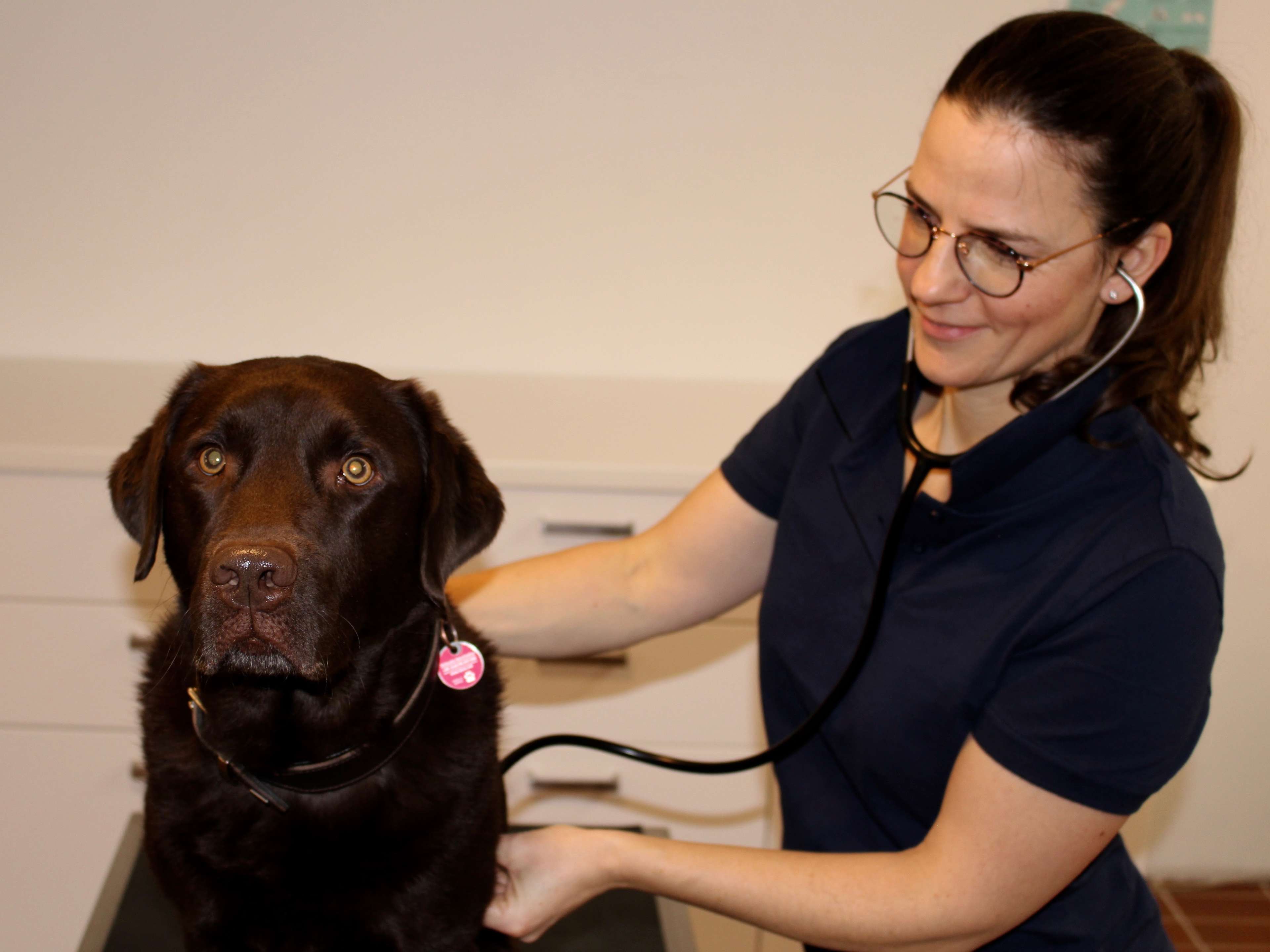 Ansicht 1 von Tierarzt Münsing -Tierärztliche Praxis für Klein- und Heimtiere Dr. med. vet. Andrea Rütz, MBA
