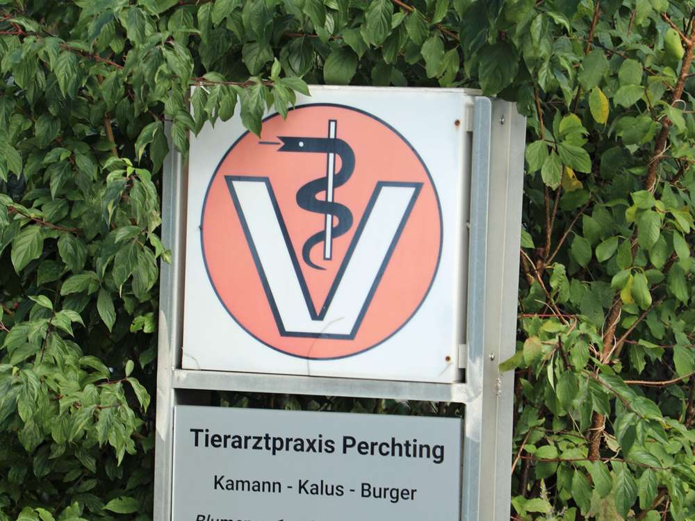 Ansicht 1 von Tierarztpraxis Perchting