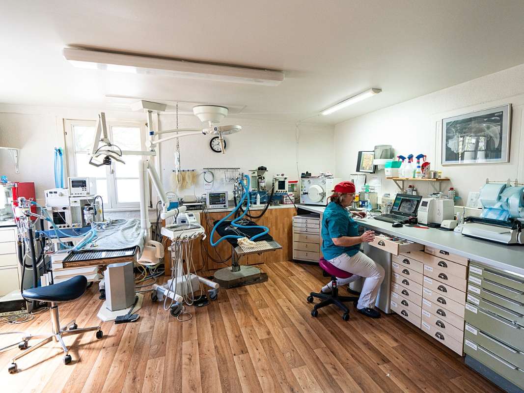 Ansicht 2 von Tierarzt Möhnle Kehl, Fachtierärztliches Zentrum für Kleintiere Kehl-Hanauerland