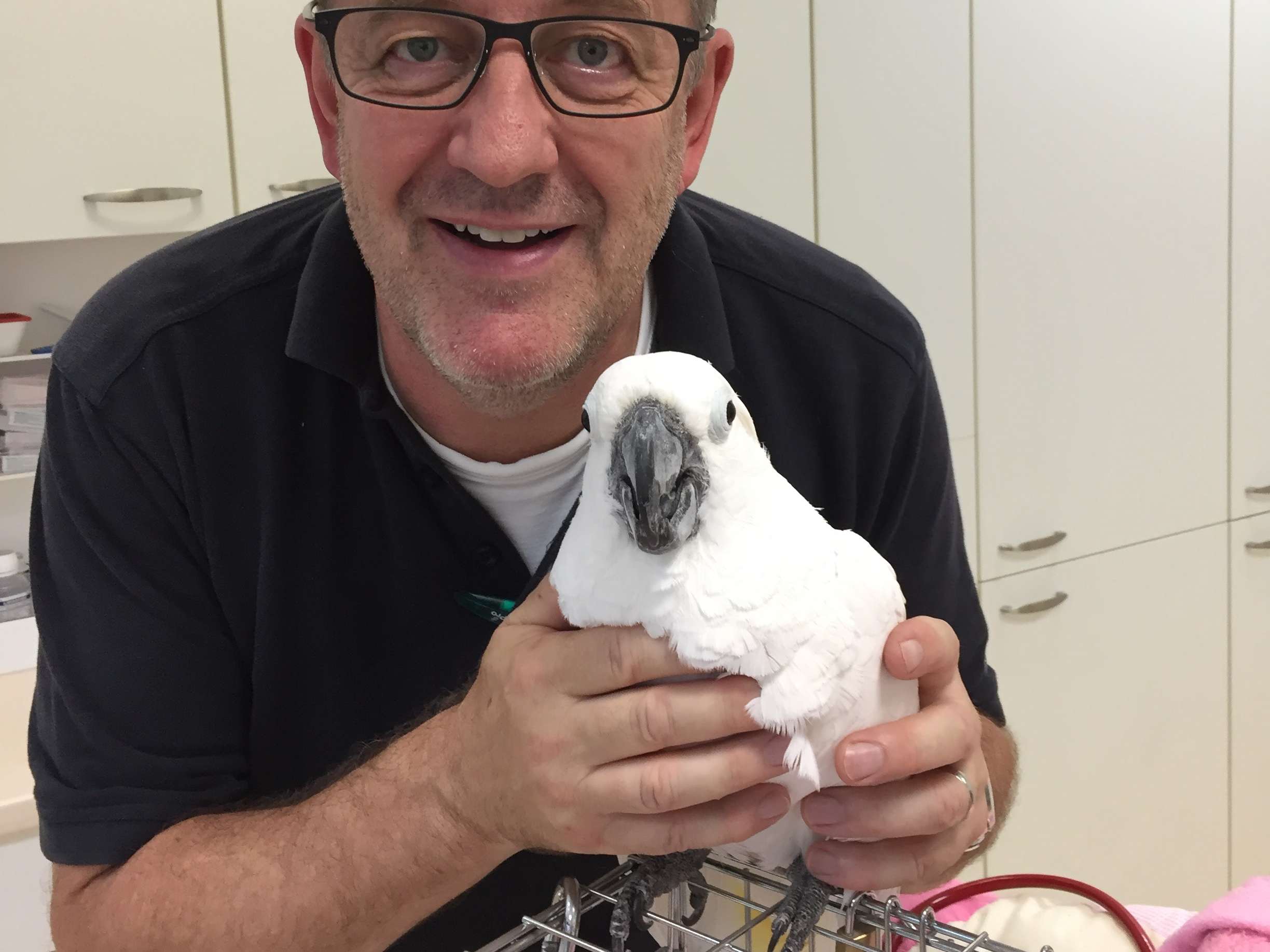 Ansicht 1 von Tierarztpraxis PD Dr. med. vet. Thomas Göbel