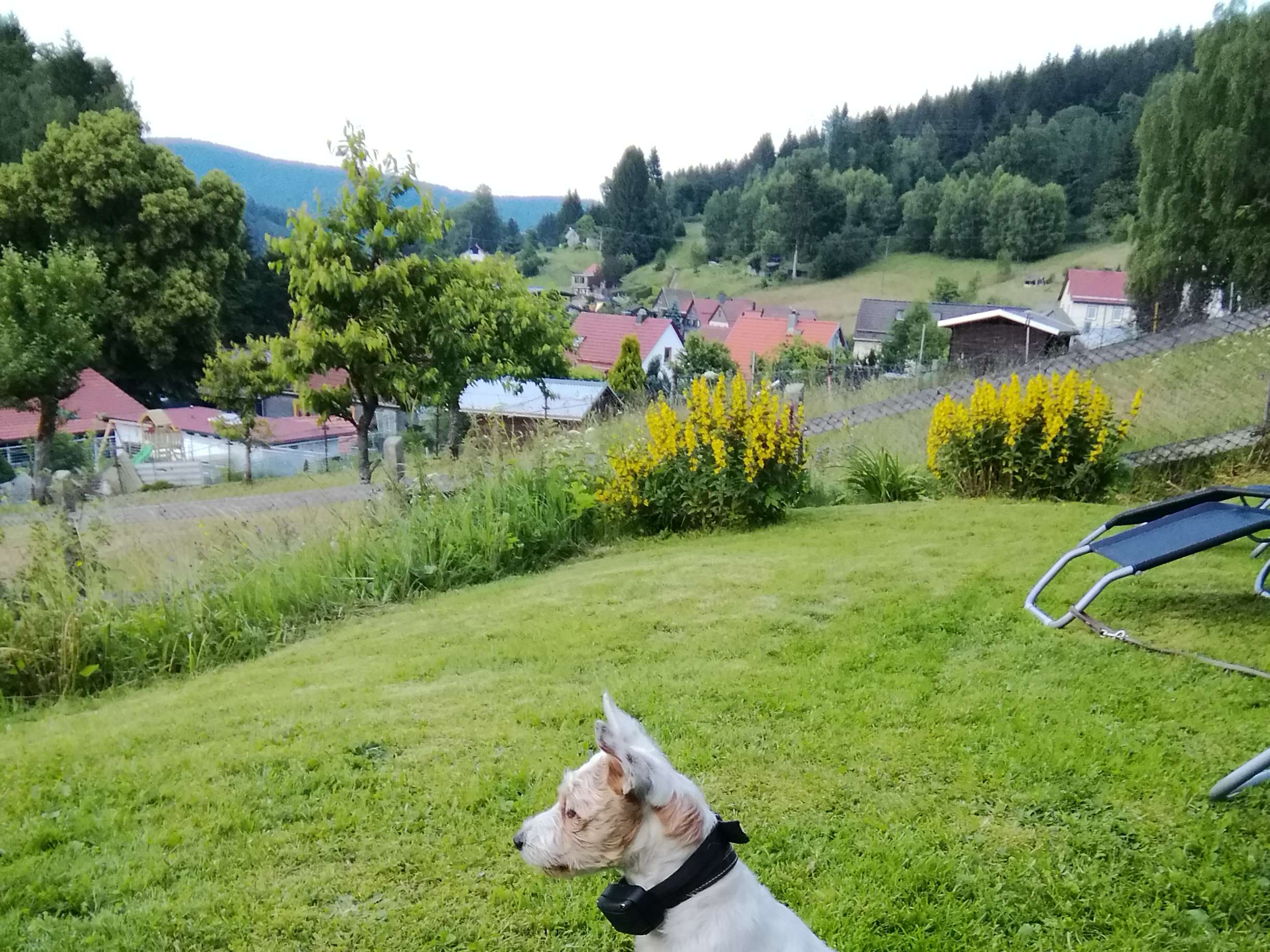 Ansicht 2 von Tierarztpraxis Dr. Nover
