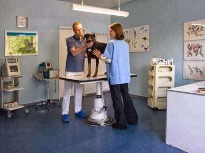 Ansicht 3 von Tierarztpraxis Dr. Tyrell & Dr. Haege GmbH