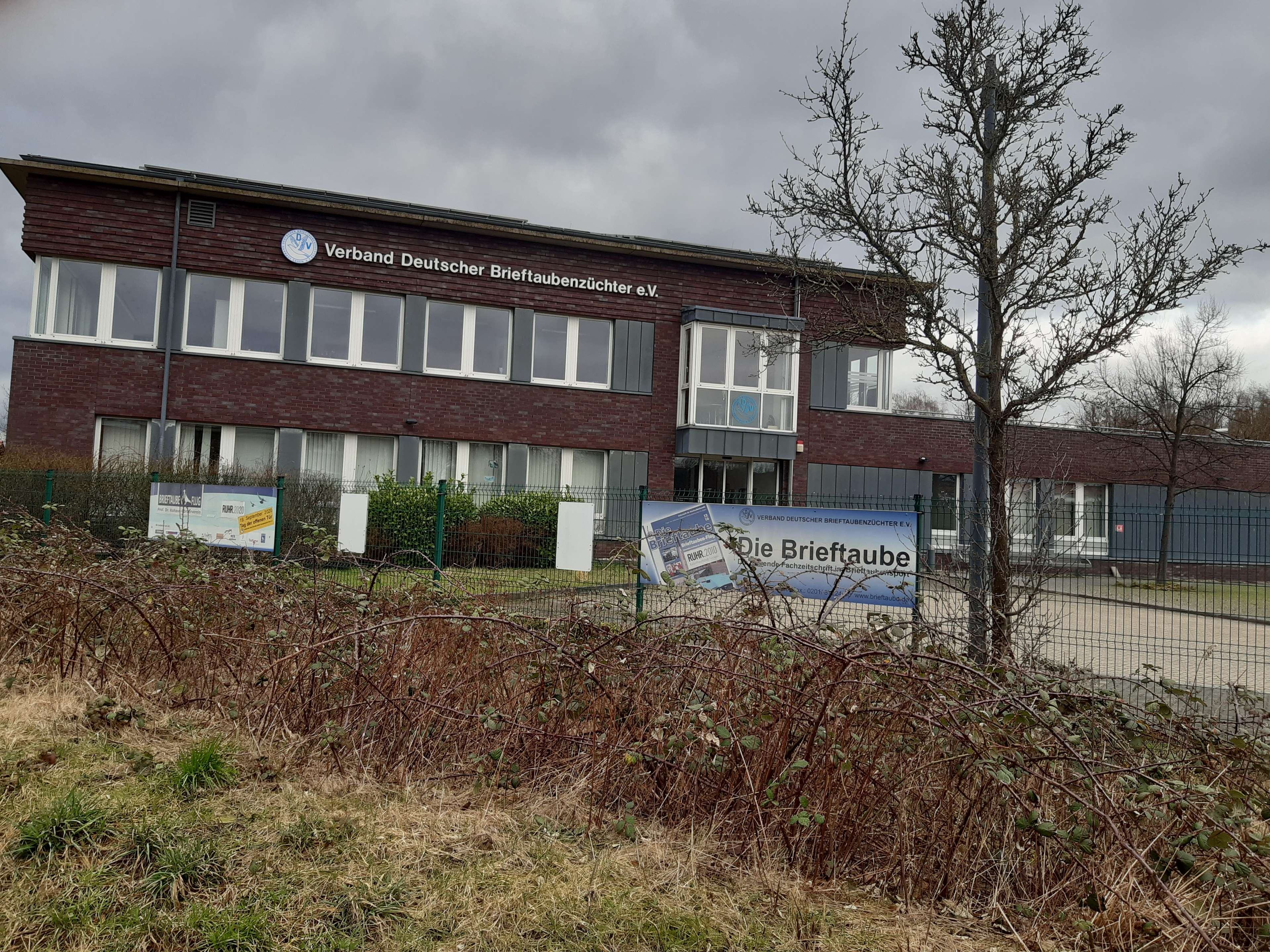 Ansicht 1 von Verband Deutscher Brieftaubenzüchter Taubenklinik
