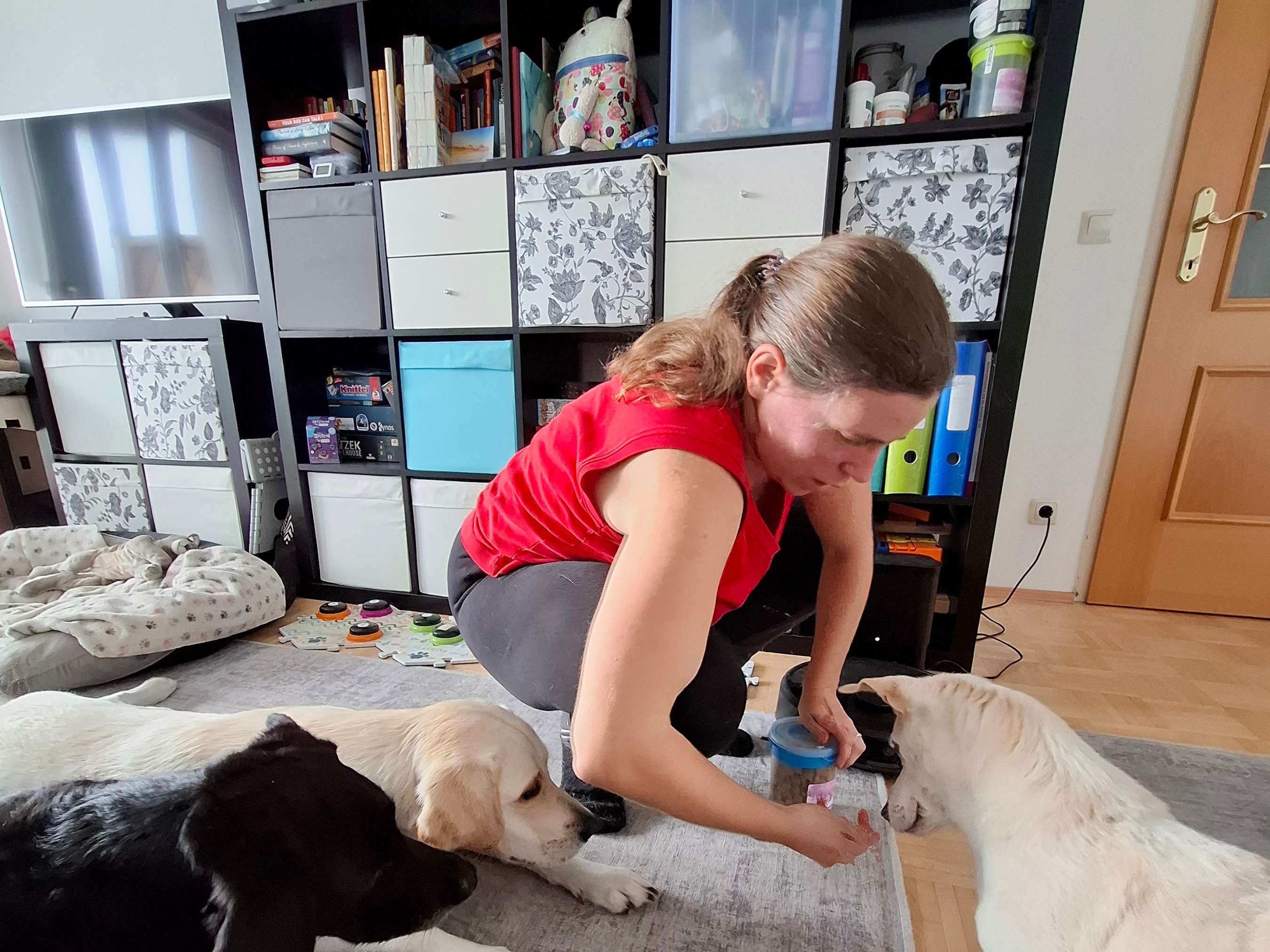 Ansicht 3 von Tierphysiotherapie & ganzheitliche Tiermedizin - Dr. vet. Barbara Weidinger
