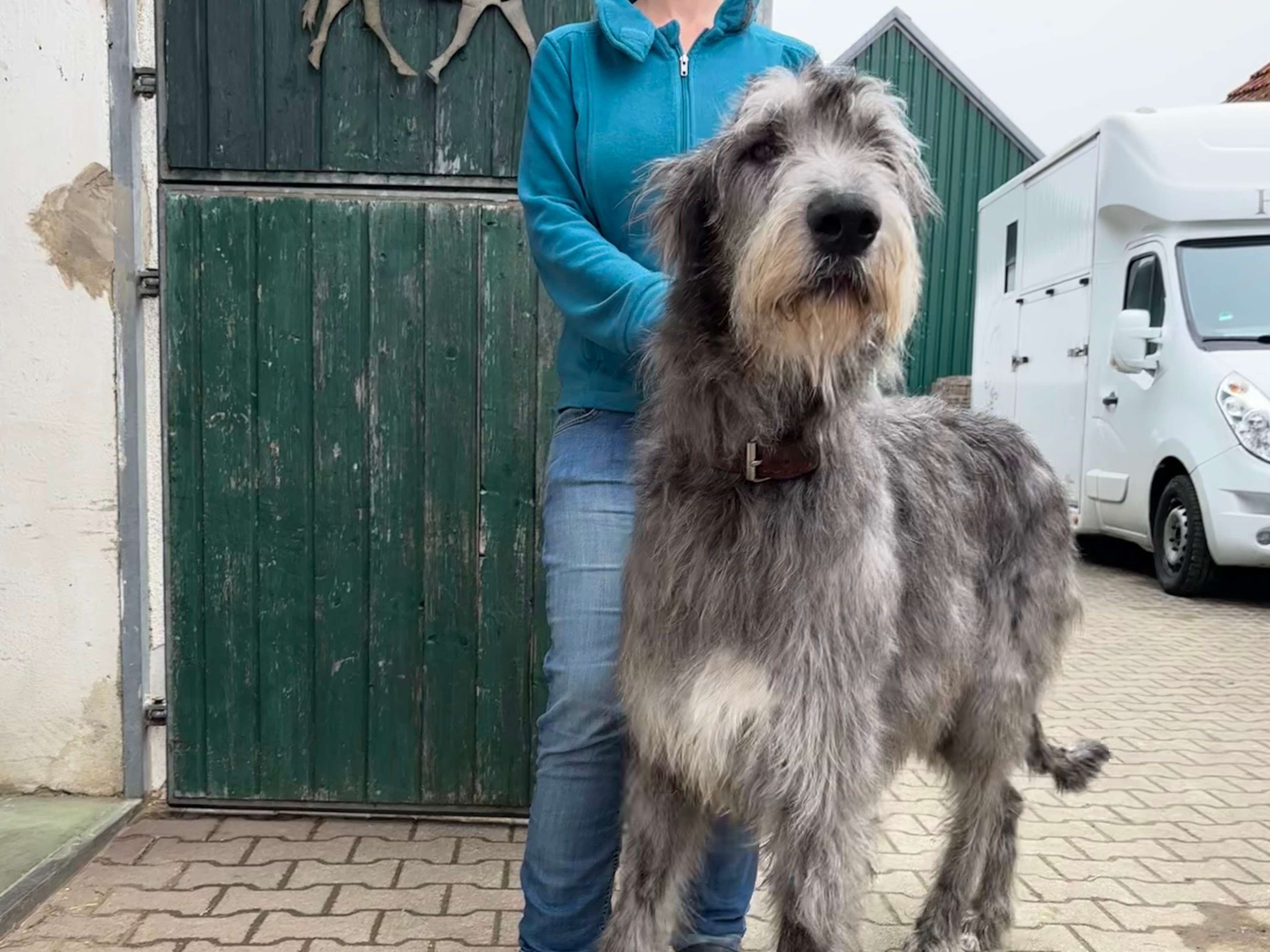 Ansicht 2 von TierReha Hanus