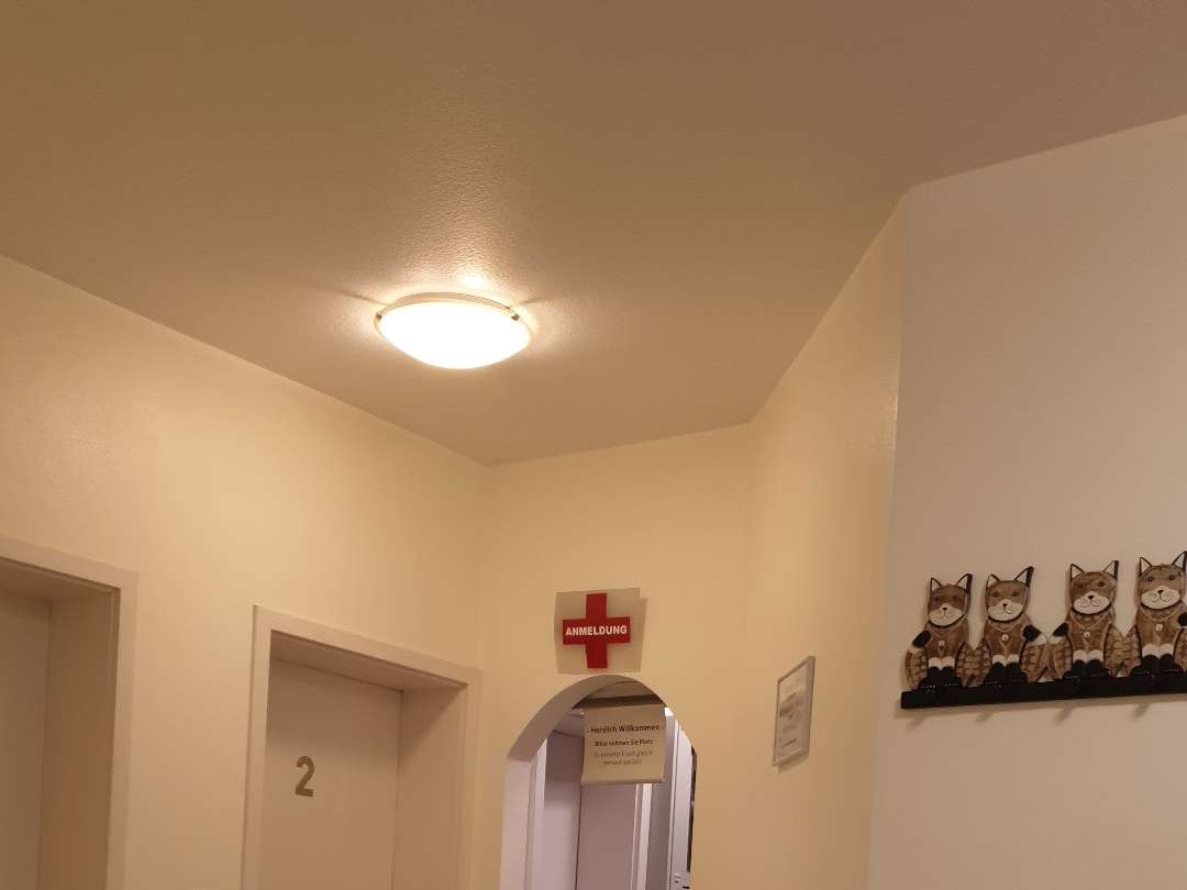 Ansicht 3 von Tierchirurgie Bad Homburg